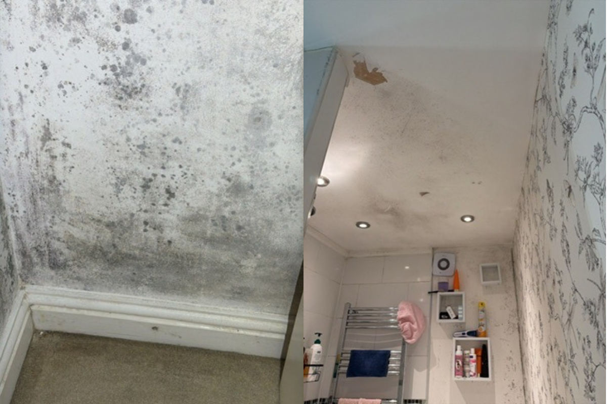 Multi-Room Damp and Mould Linked to Cold Bridging, Ventilation Deficiencies and External Defects