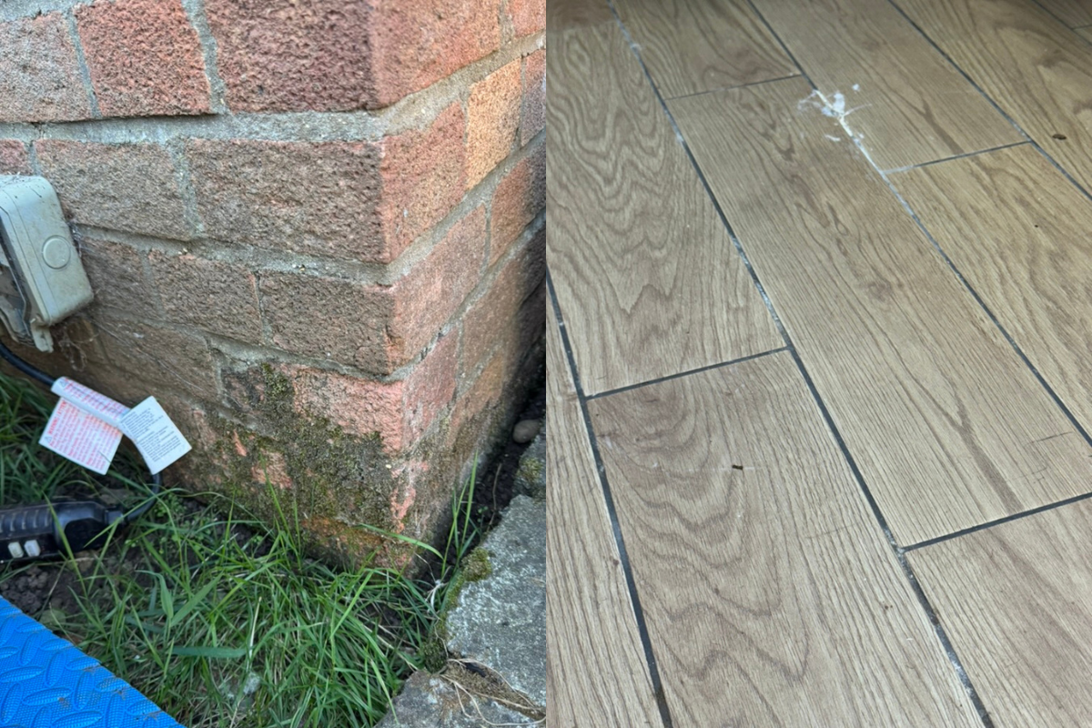 Ground-Level Damp Ingress and Mould in a Converted Garage