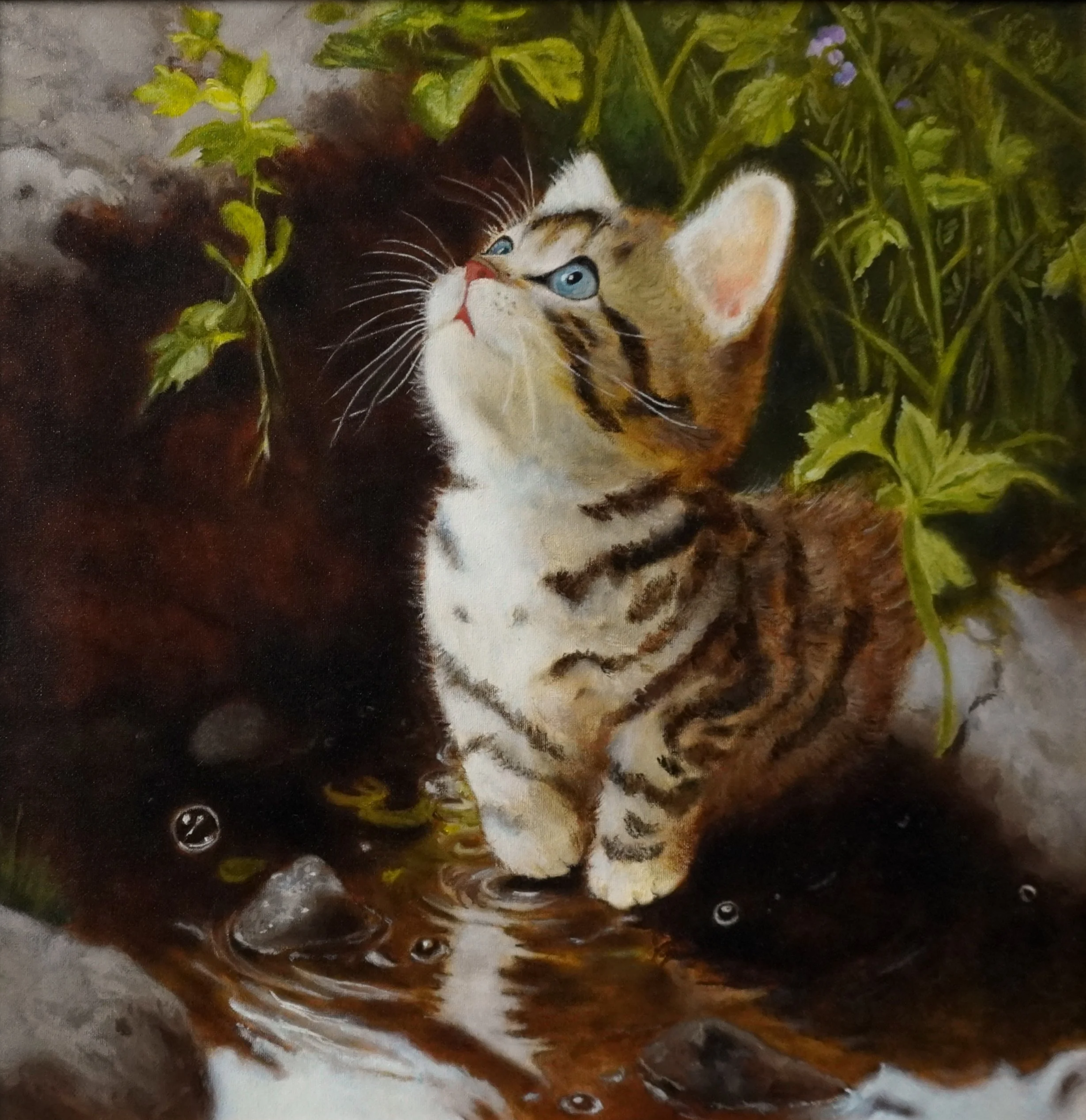 Curious, 2026, Oil on Linen — 15x15 in