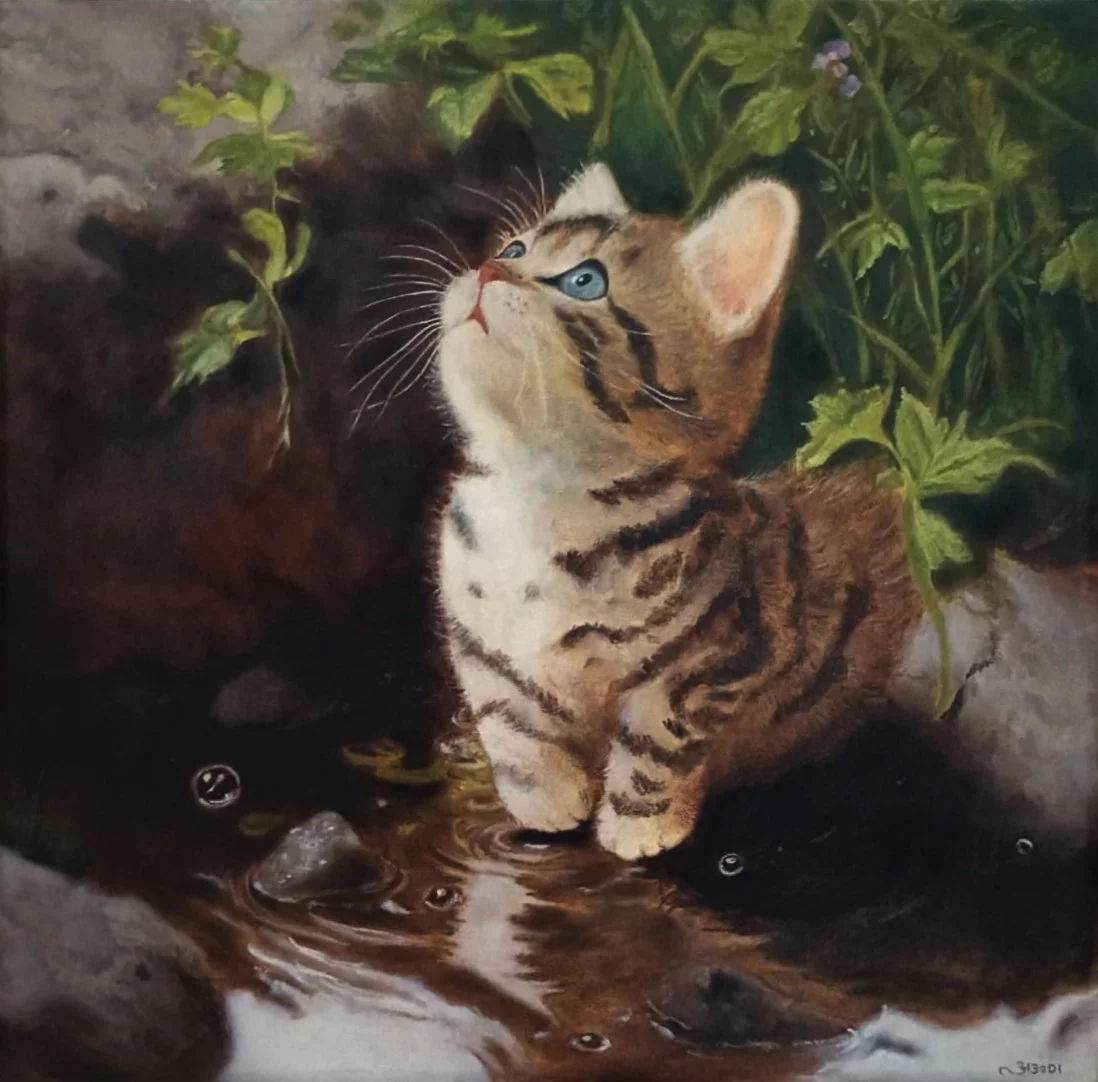 Curious, 2026, Oil on Linen, 15x15 inch.jpeg