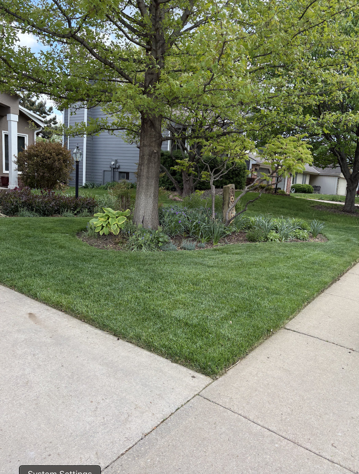 A well-maintained front yard with a large tree, flower bed, green grass, and a sidewalk in a residential neighborhood.