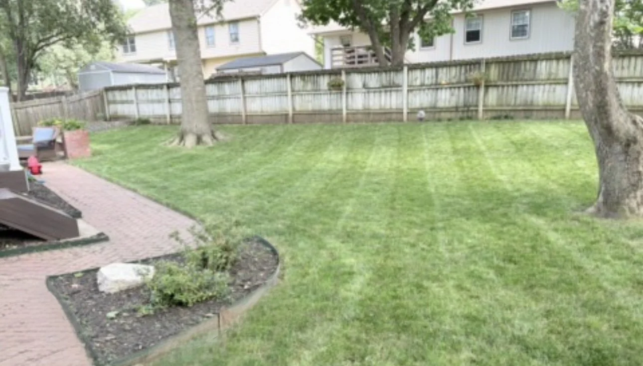 A backyard with a grassy lawn, two large trees, a brick patio, and various outdoor furniture and accessories, with a tall wooden fence and neighboring houses in the background.