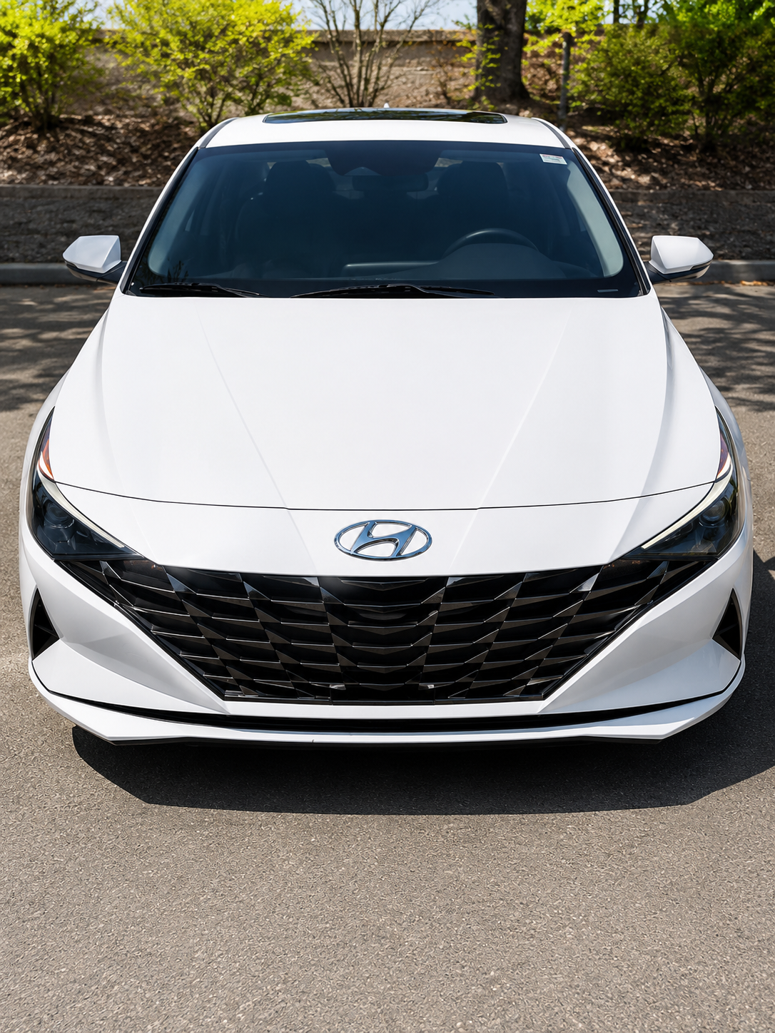 front vehicle view.png