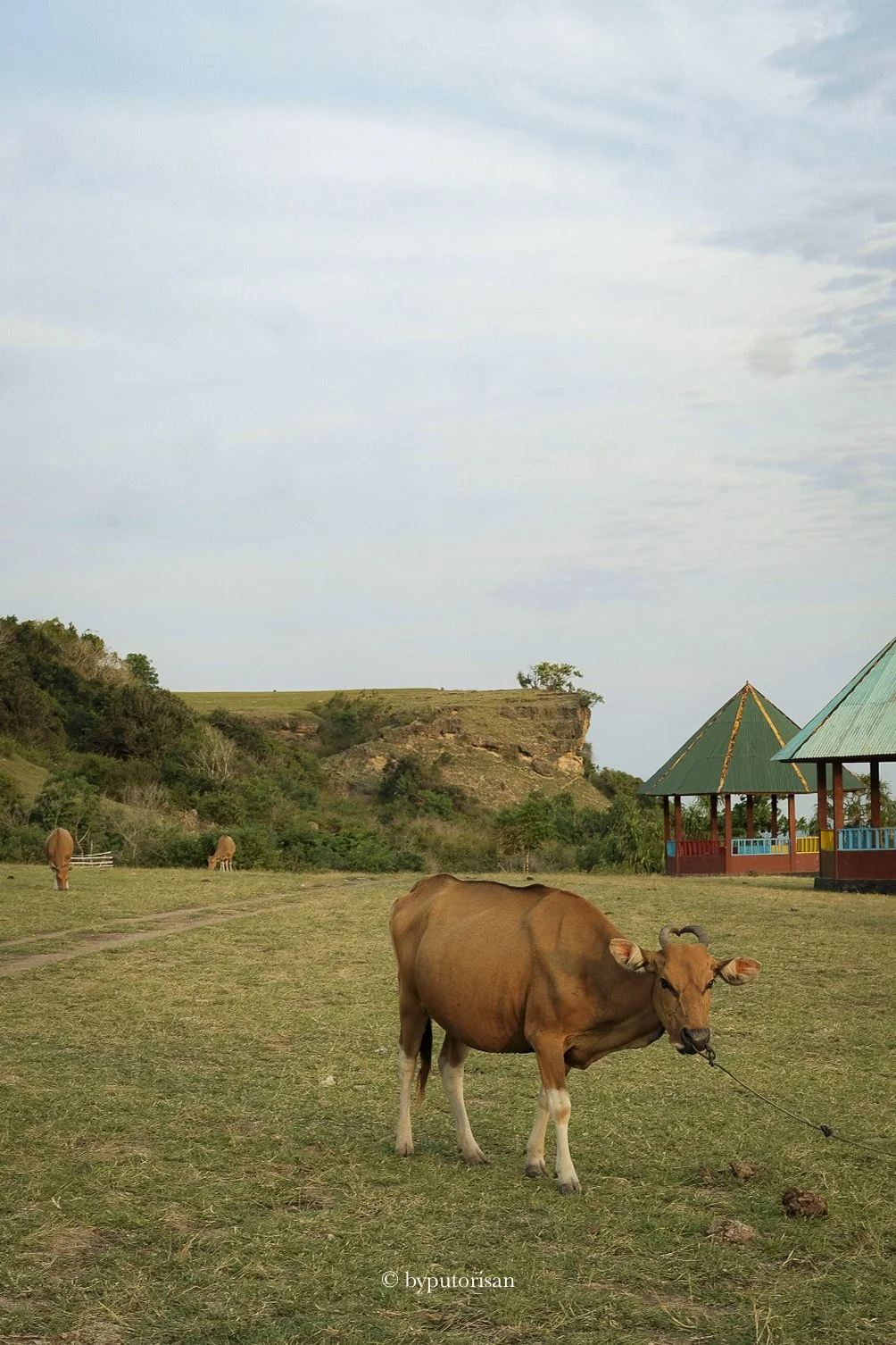 Nangarawa, East Nusa Tenggara, 2024