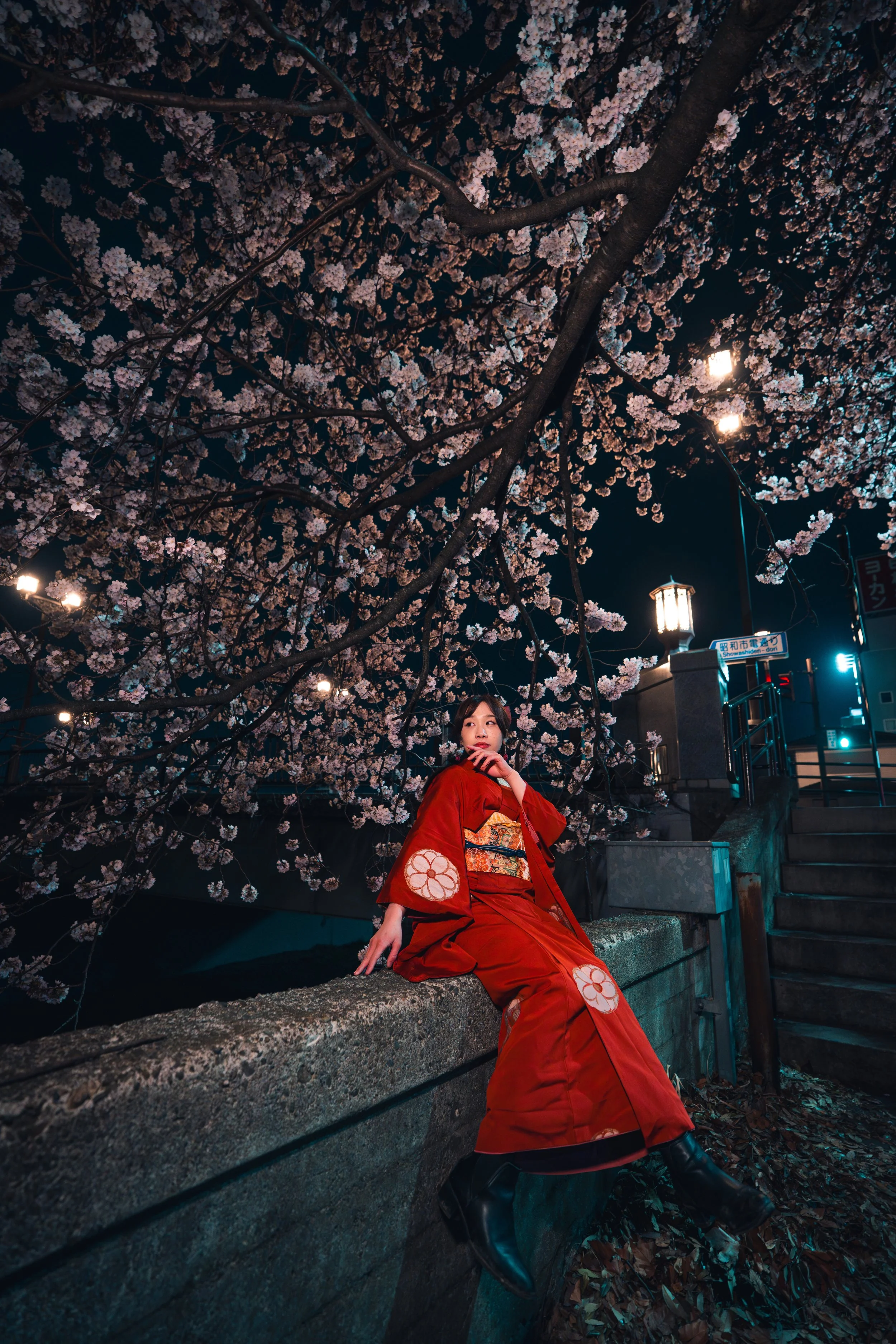 夜の街角で桜の木の下に座る女性、赤い着物を着ている