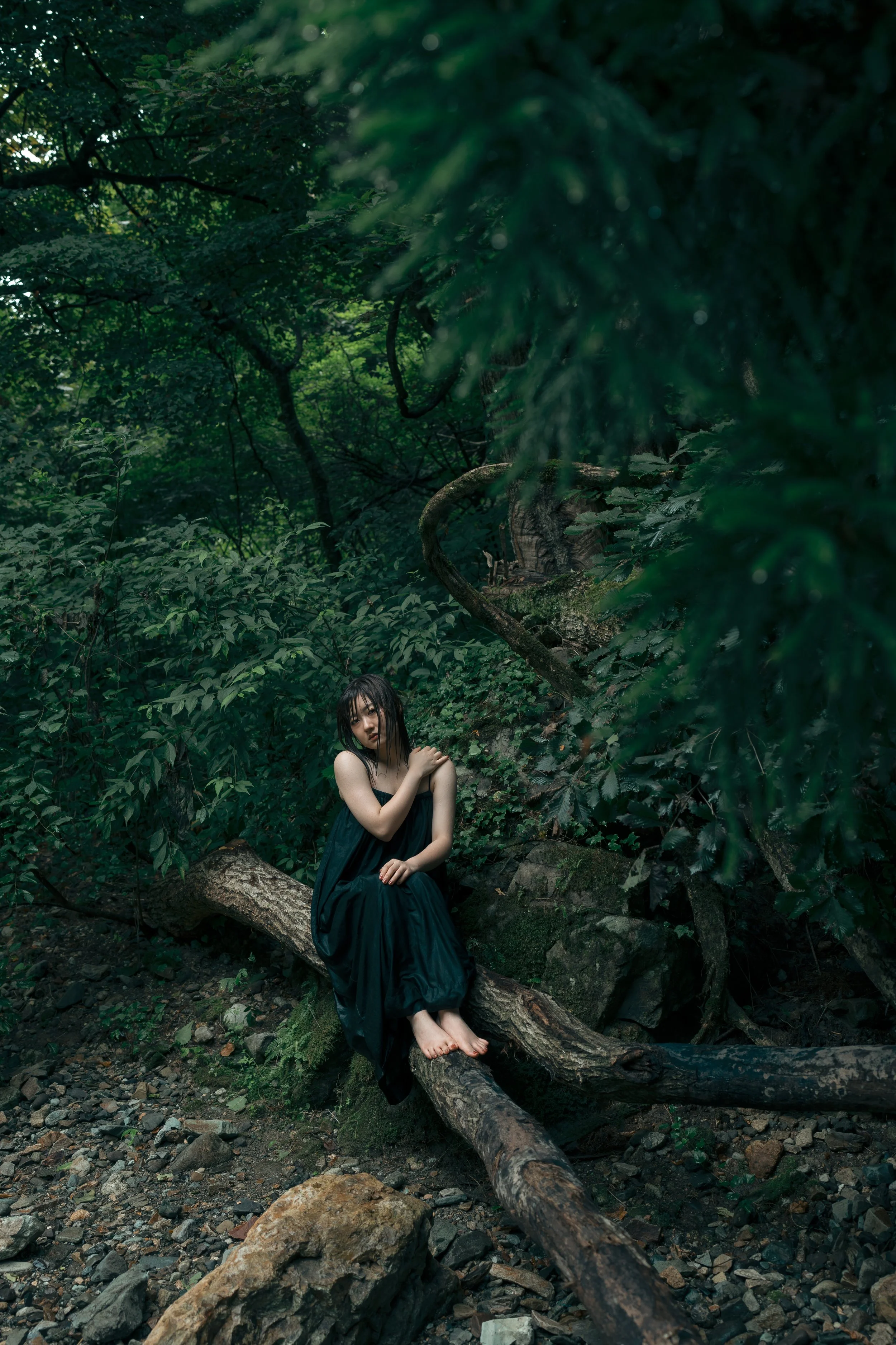 黒いドレスを着た女性が木の上に座っている、自然の森の中の風景