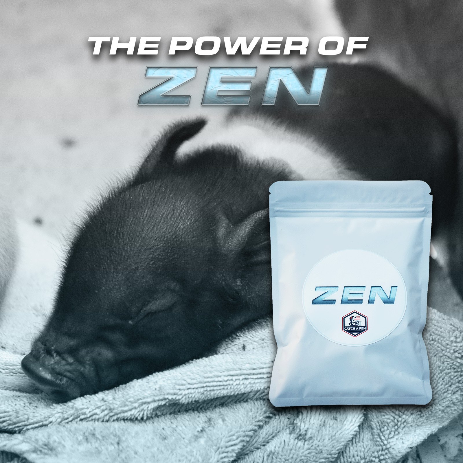 zen piglet.jpg
