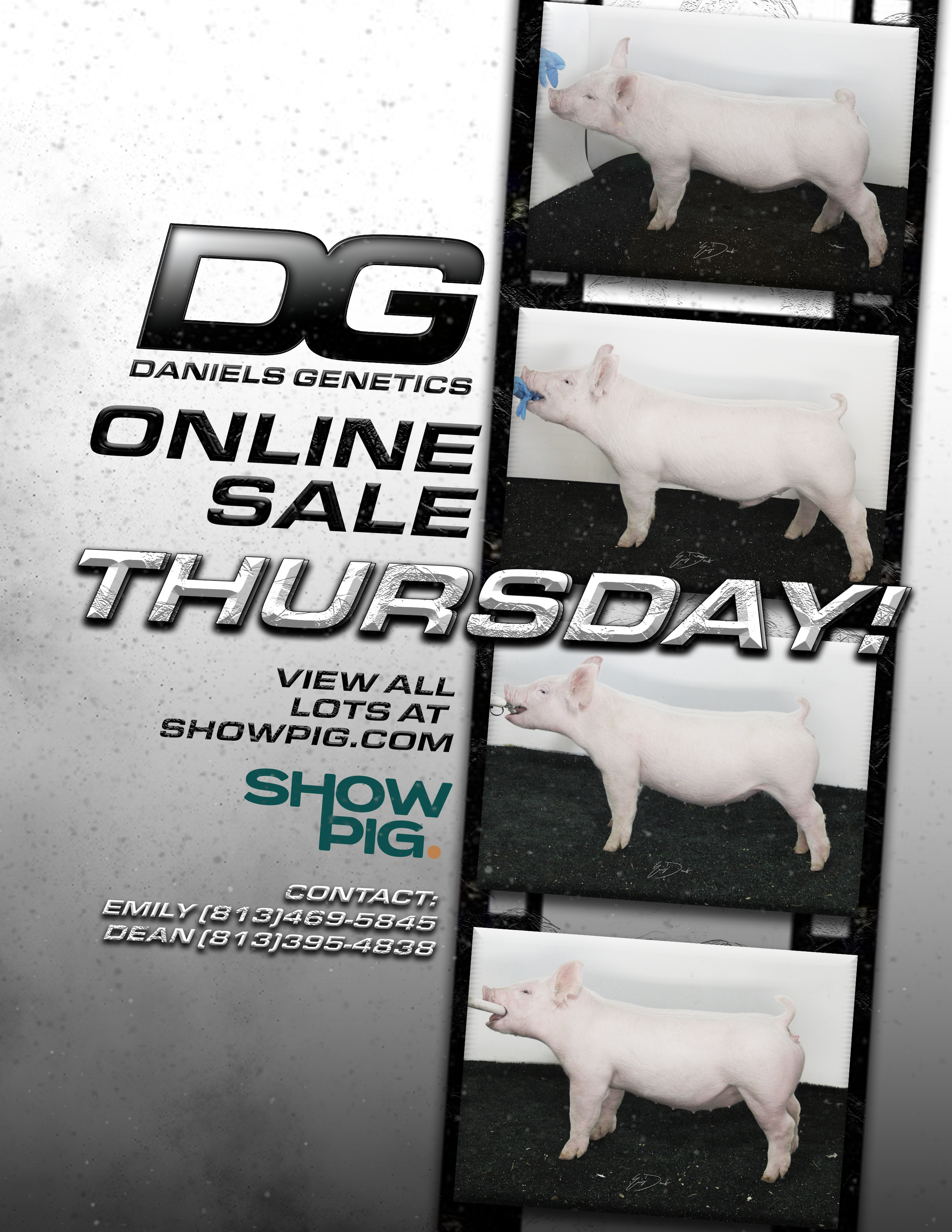 sale ad 2 days.png