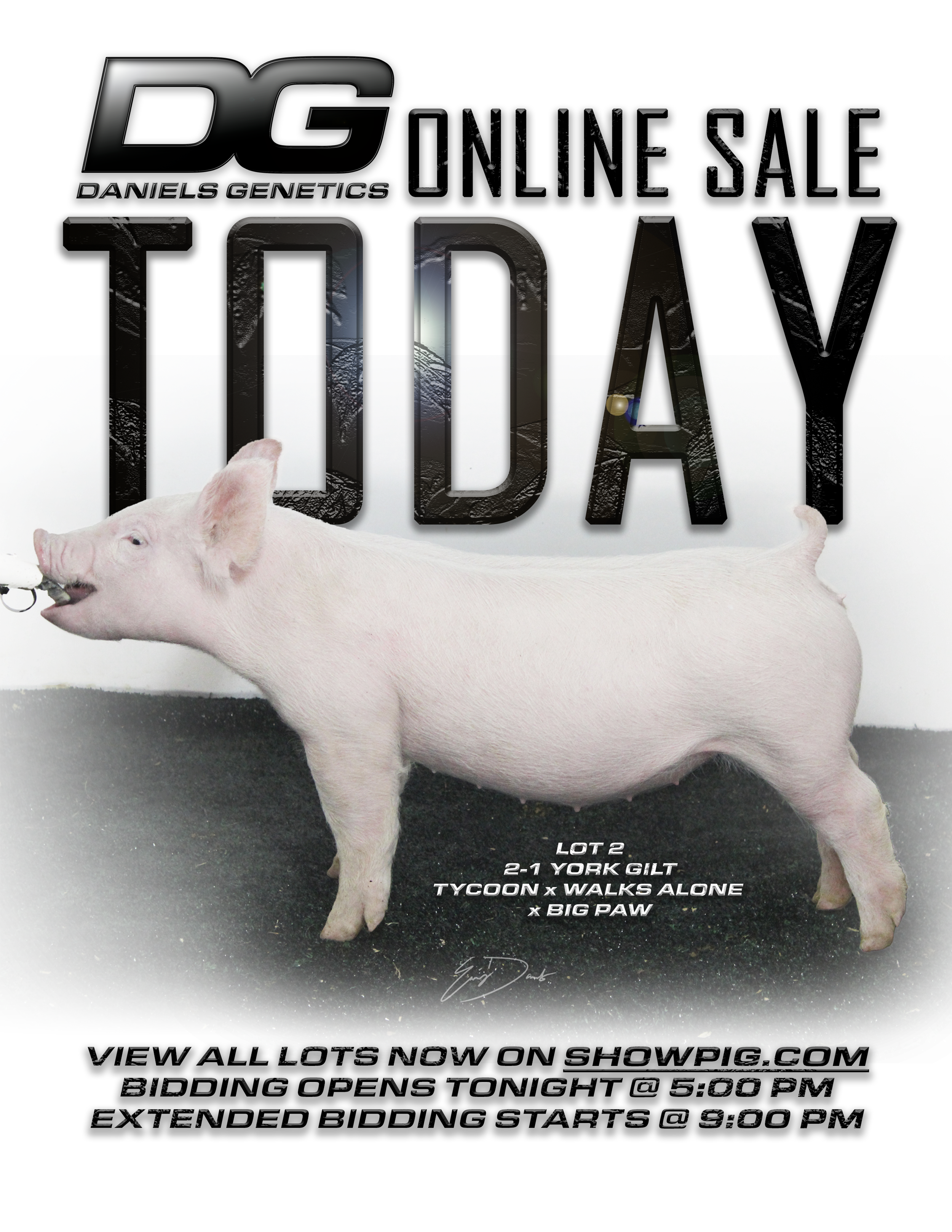 today sale ad.png