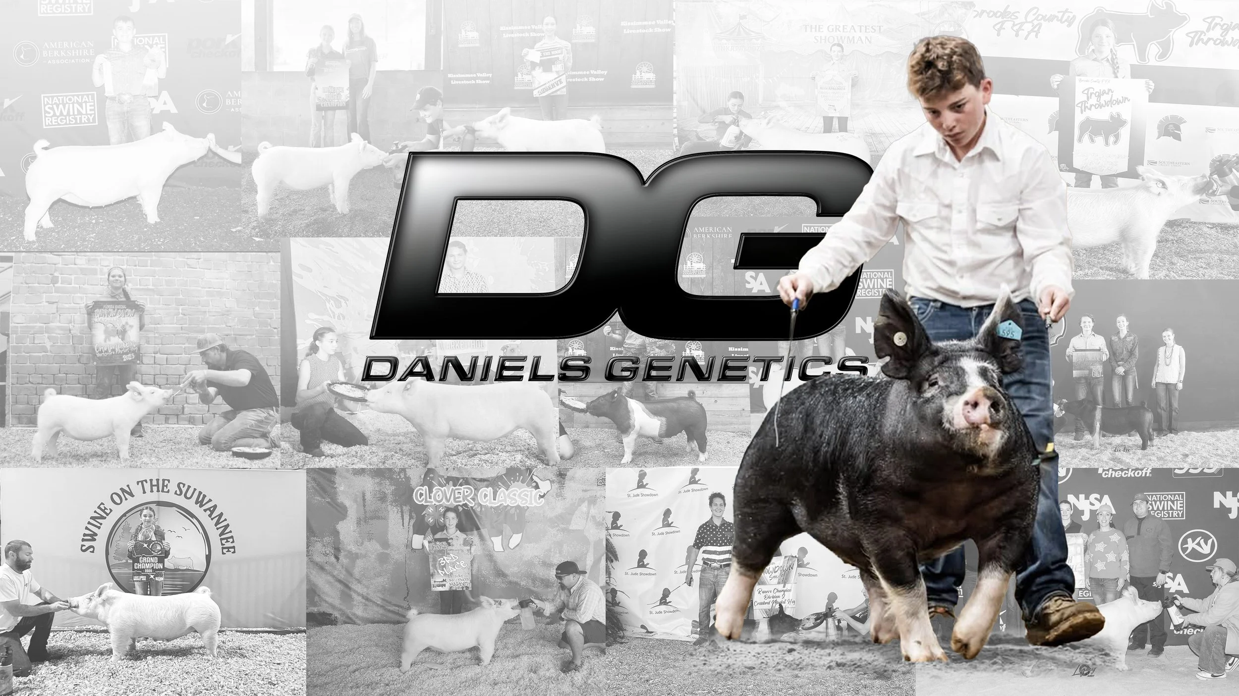 dg graphic banner.jpg