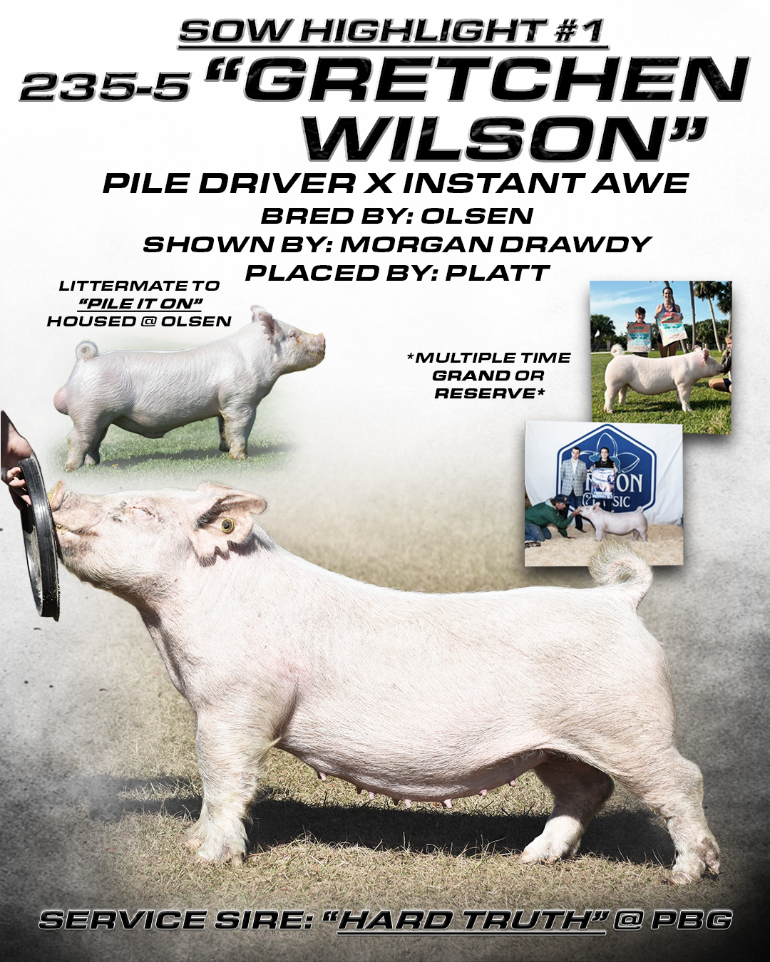 gretchen sow highlight.png