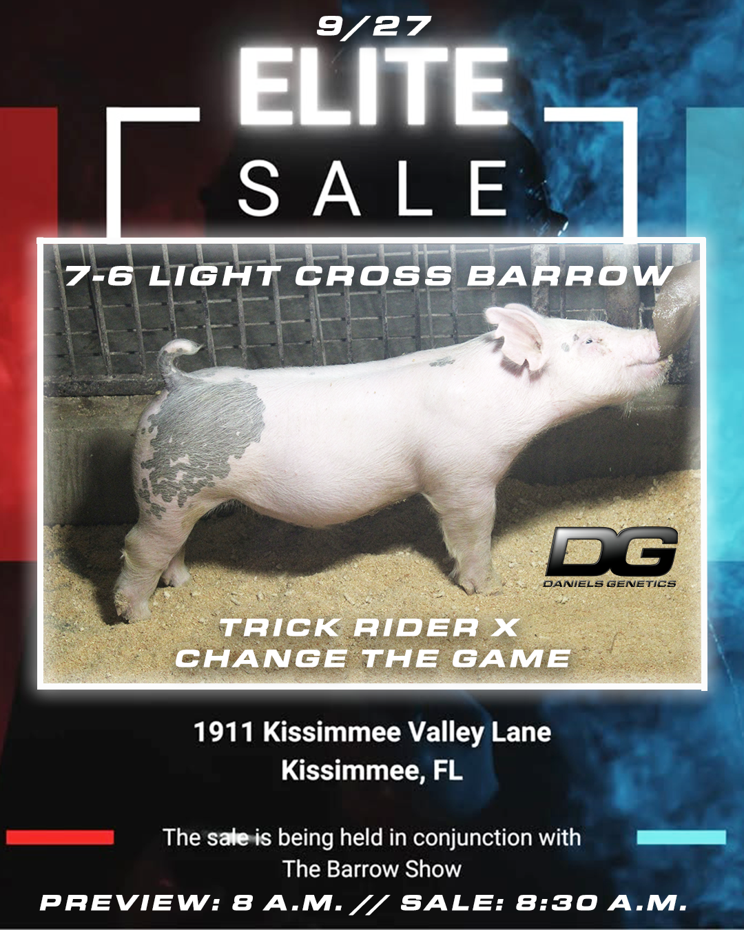 elite sale entry.png