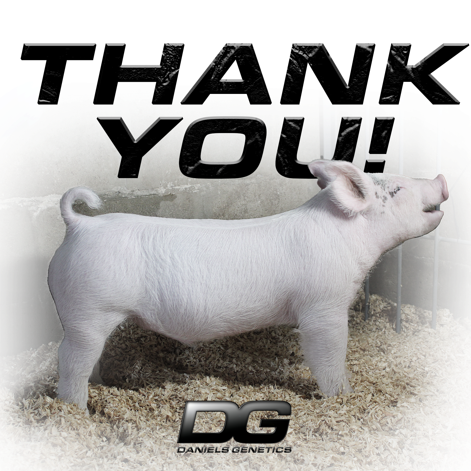 text bid barrow thank you.png