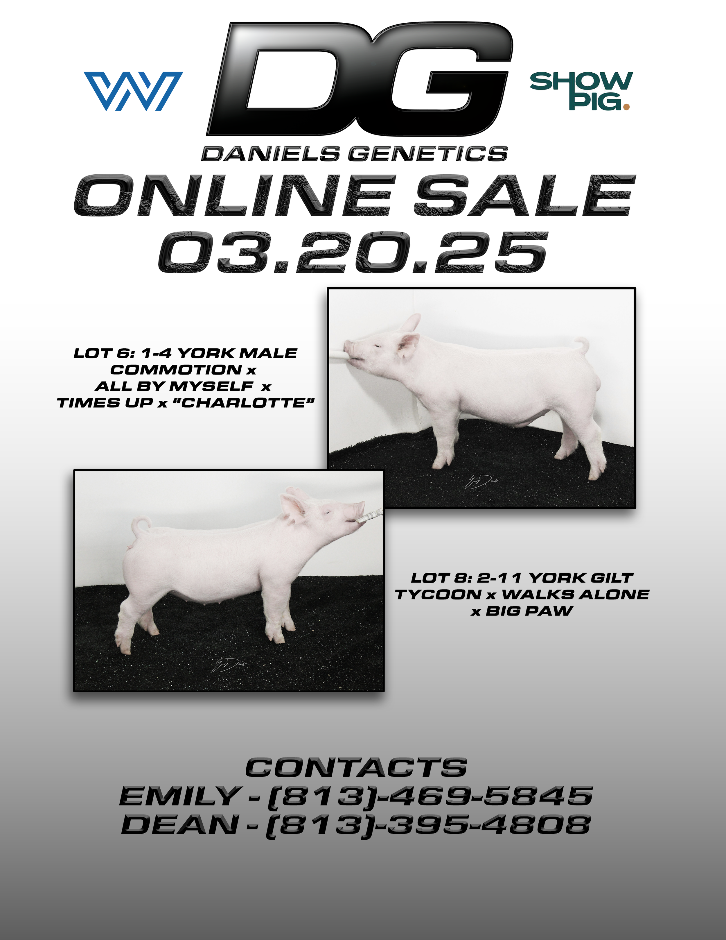 1 week to sale ad.png