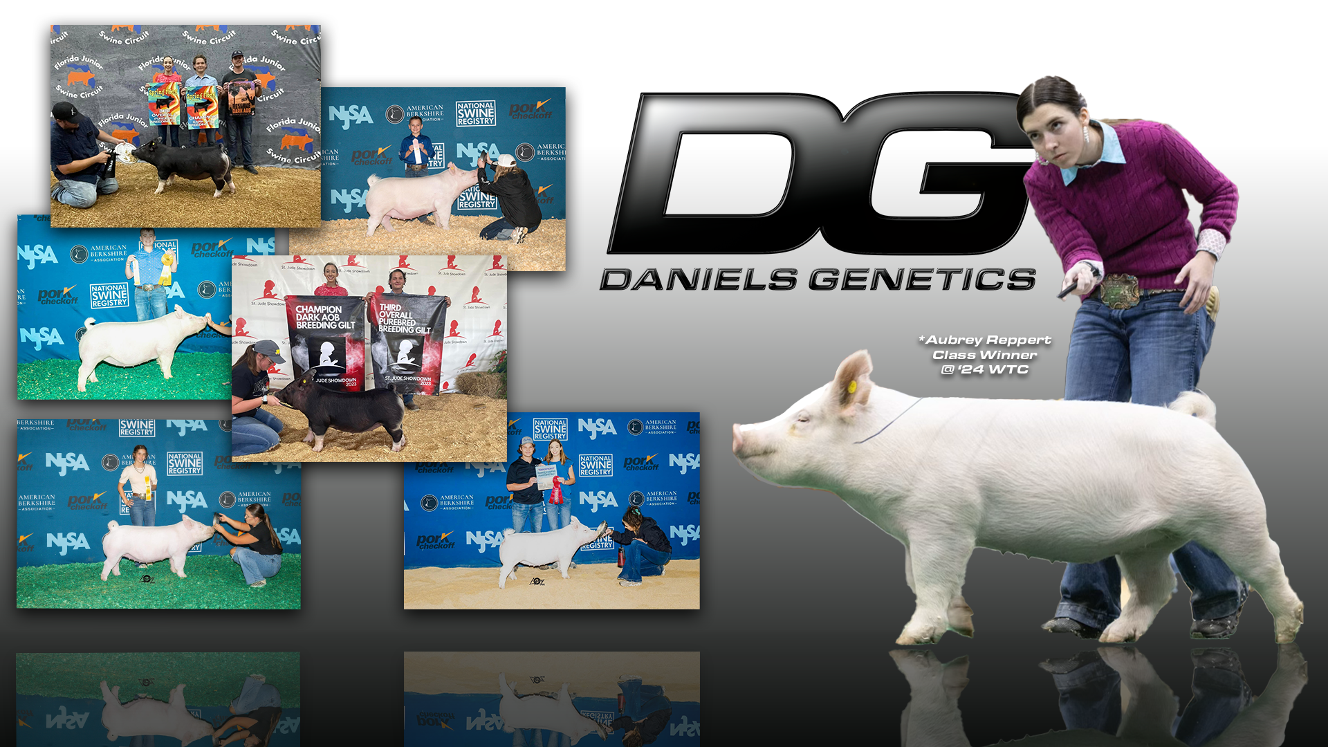 dg cover photo color full.png