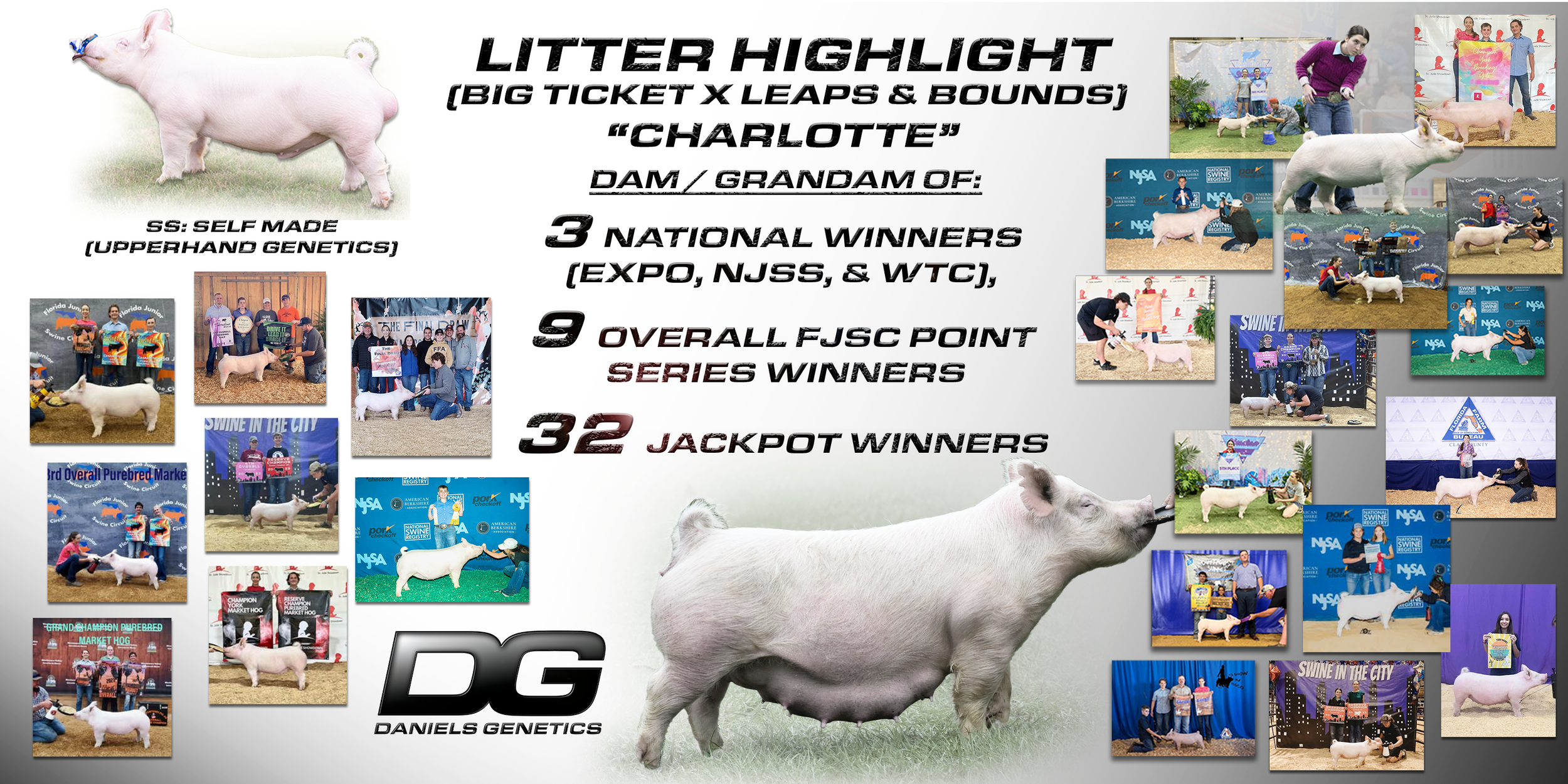 CHARLOTTE litter highlight.png