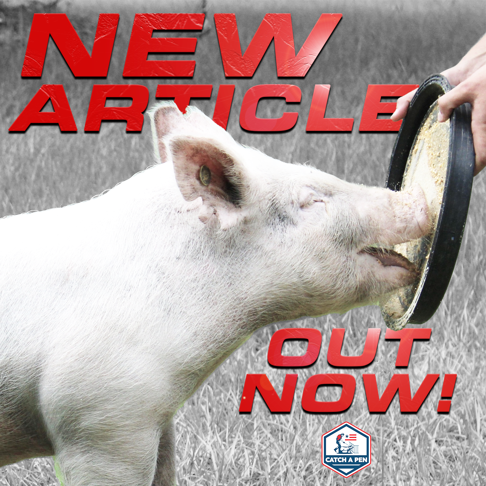 new article out now cap heat.png