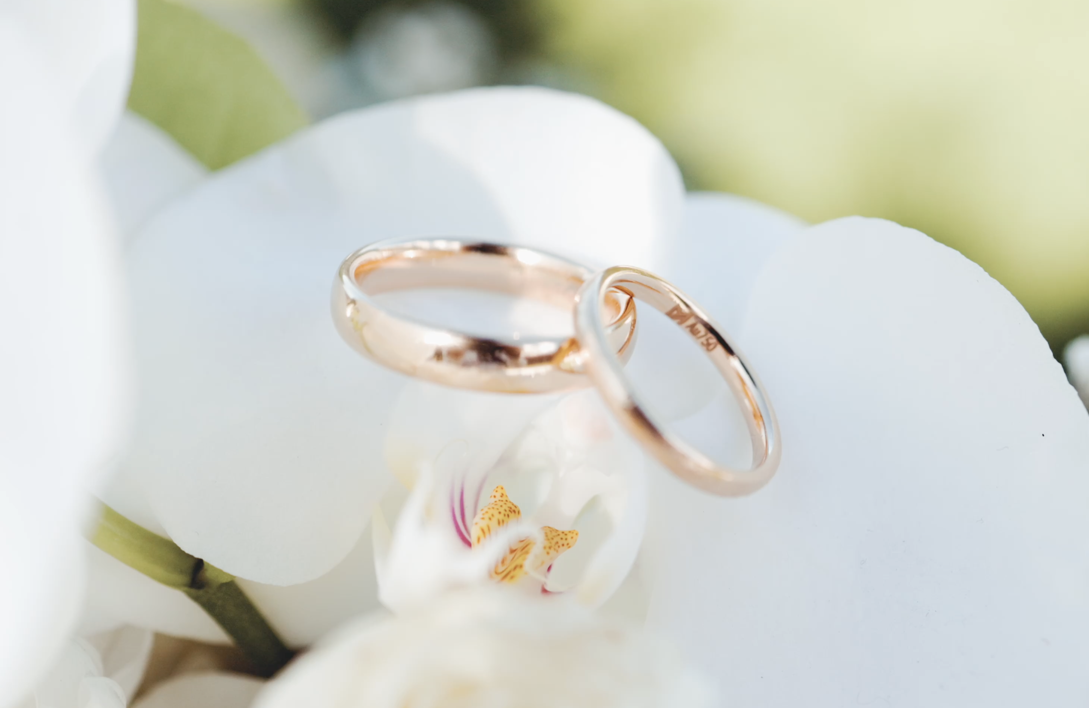 Two gold wedding rings placed on a white orchid flower.