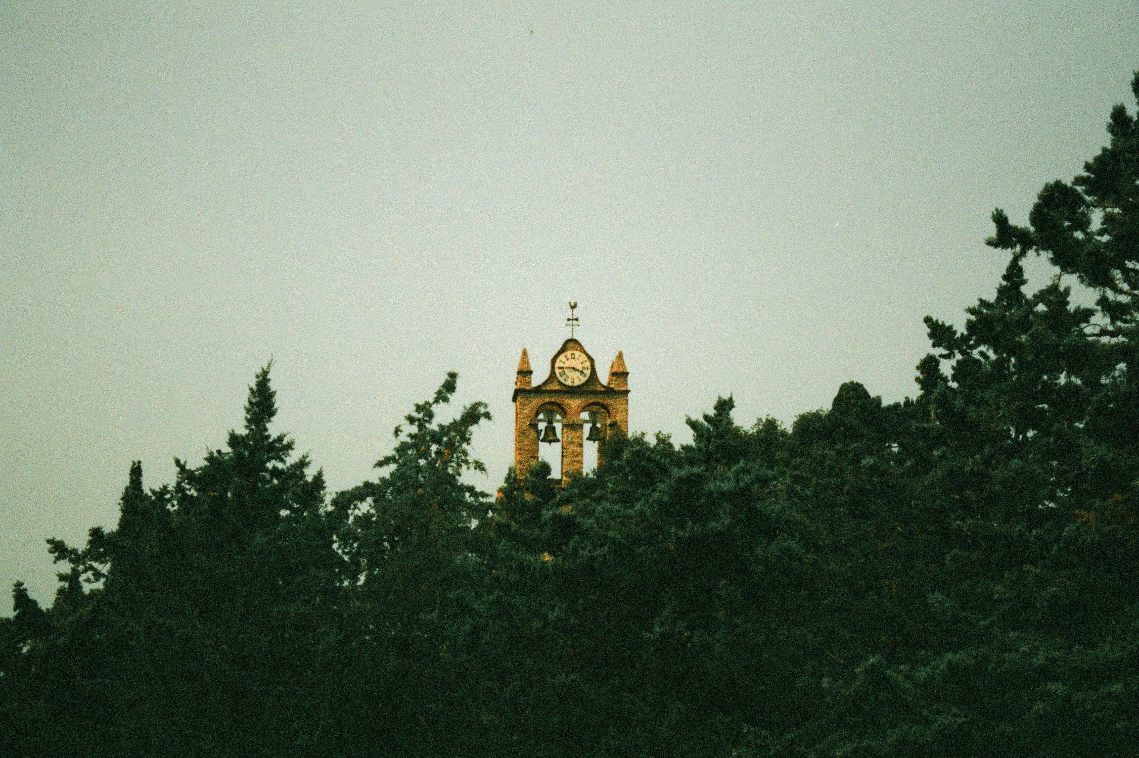 A clock tower with two bells and a weather vane on top, partially obscured by trees, against a pale sky.