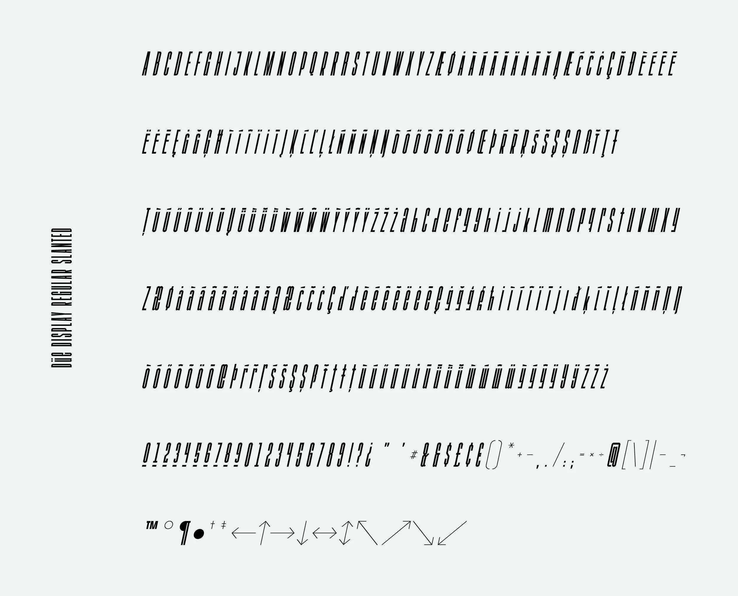 Johanne Lian Olsen_Due Display_2 4.jpg