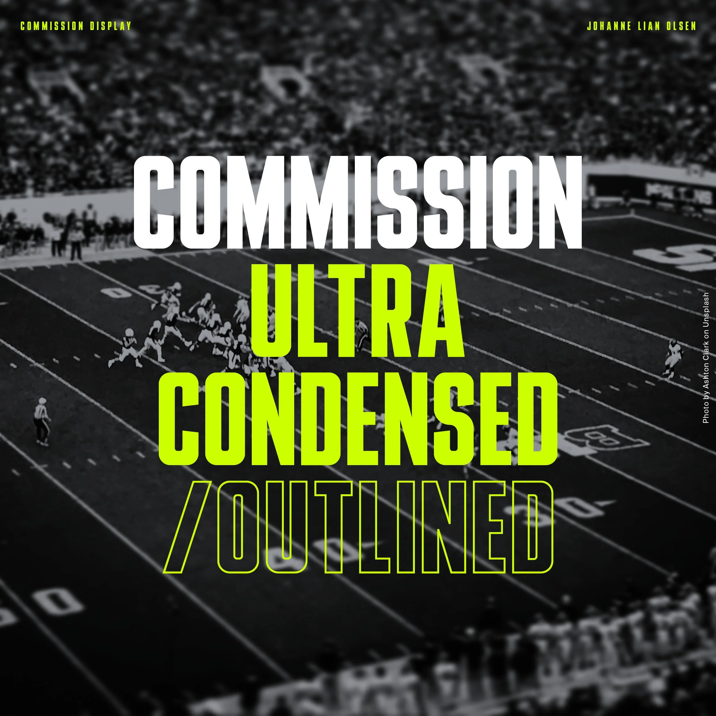 Commission_Johanne Lian Olsen.jpg (Copy)