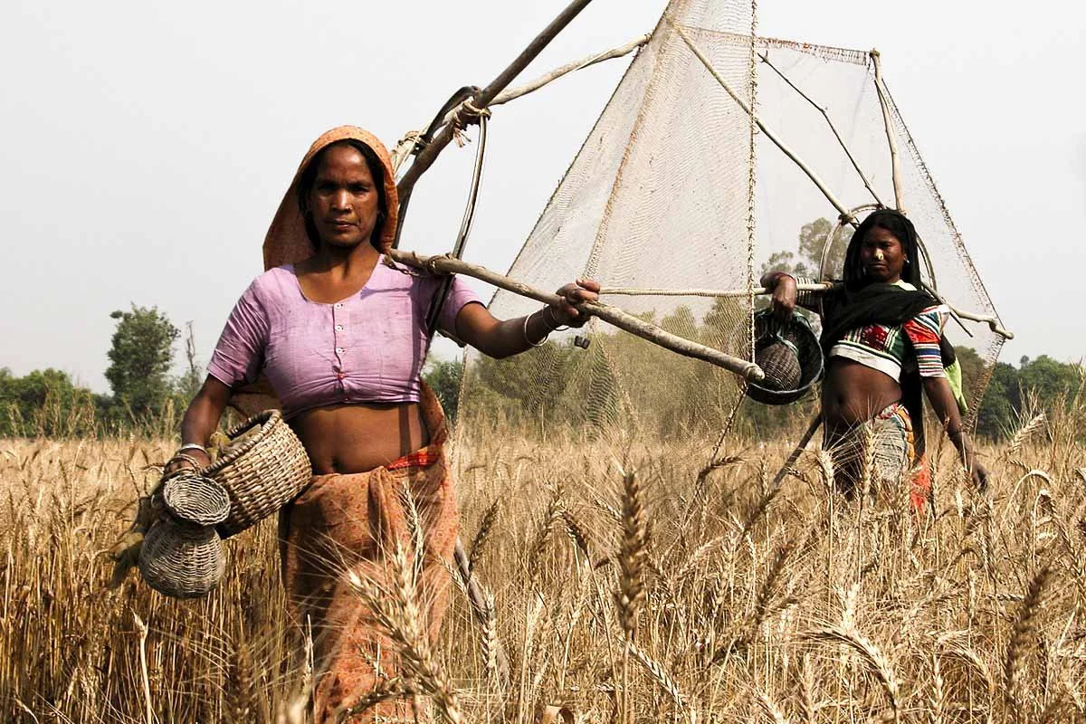 Népal: Au sein d’un village Tharu