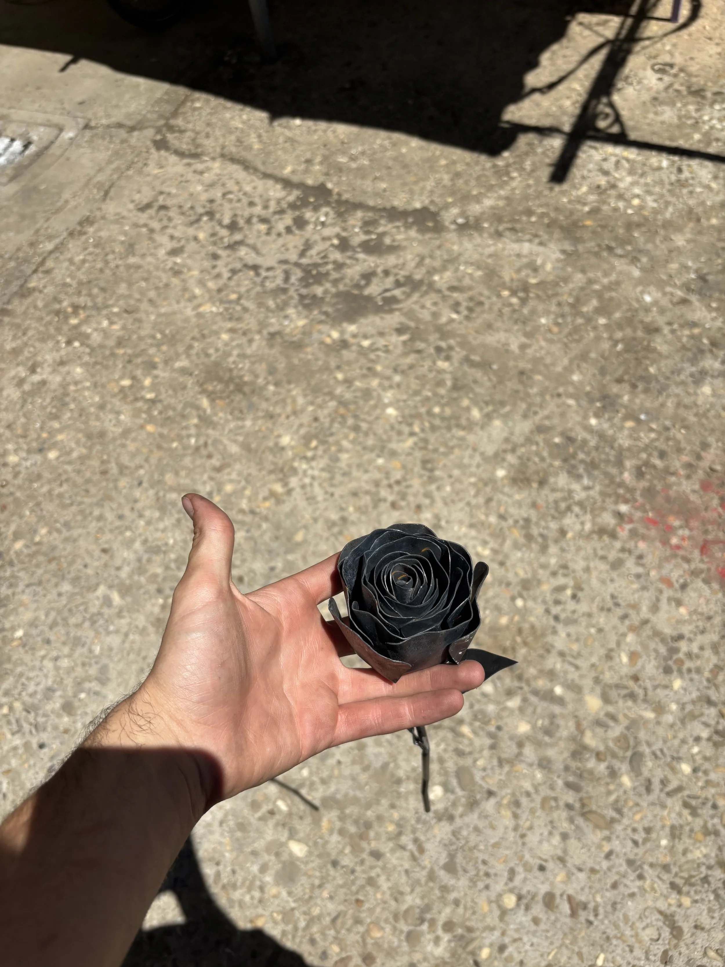 IMG_5881.jpeg
