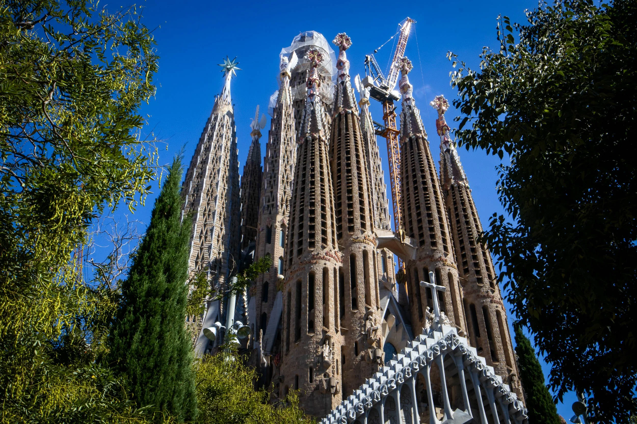 View of the towering spires of La Sagrada Família in Barcelona, framed by trees and construction cranes against a clear blue sky.