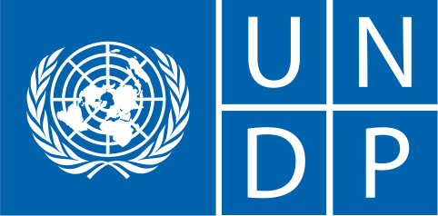 undp_logo_horizontal.webp