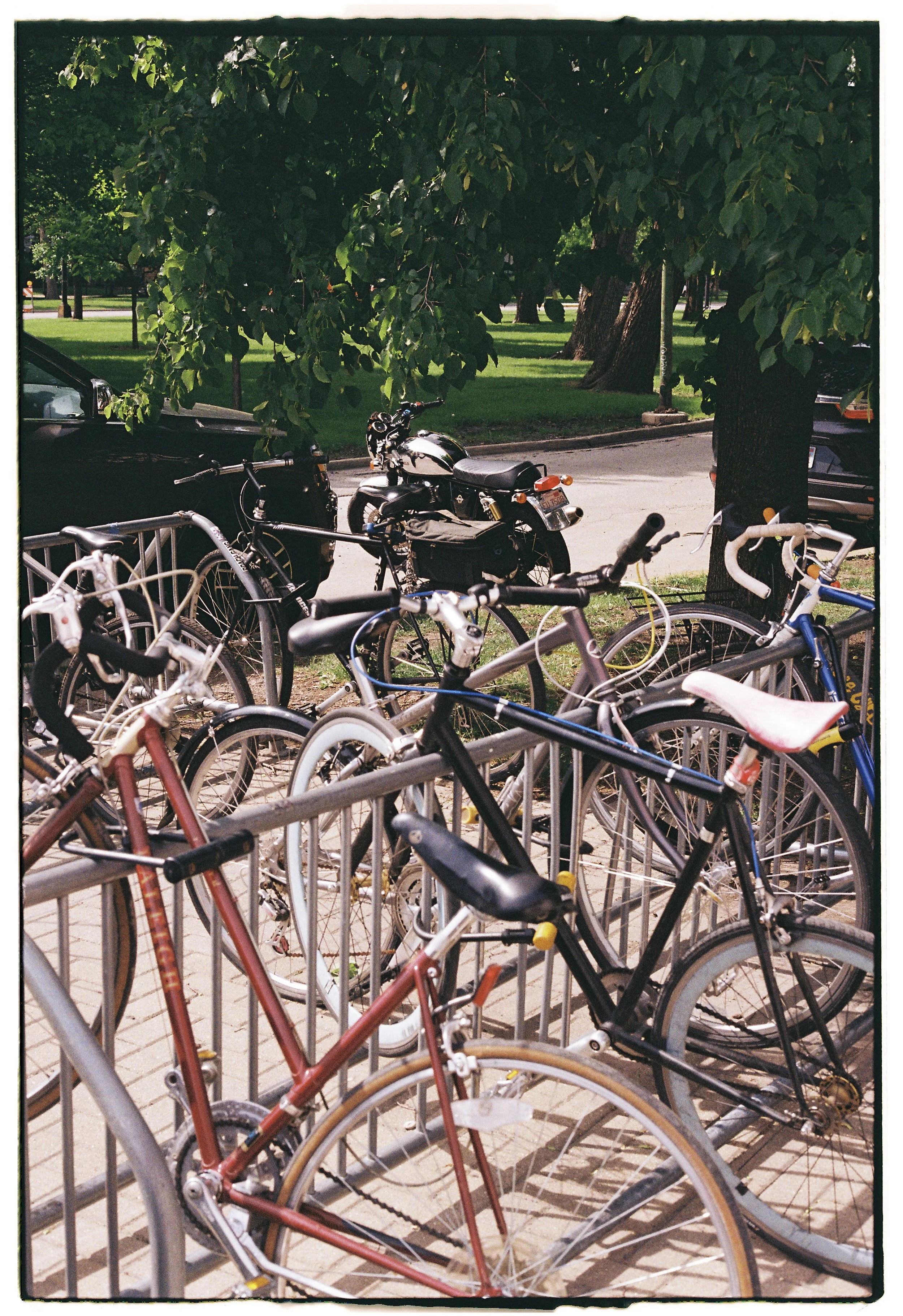 Multiple bicycles and motorcycles parked at a bike rack near a park with trees and a sidewalk.