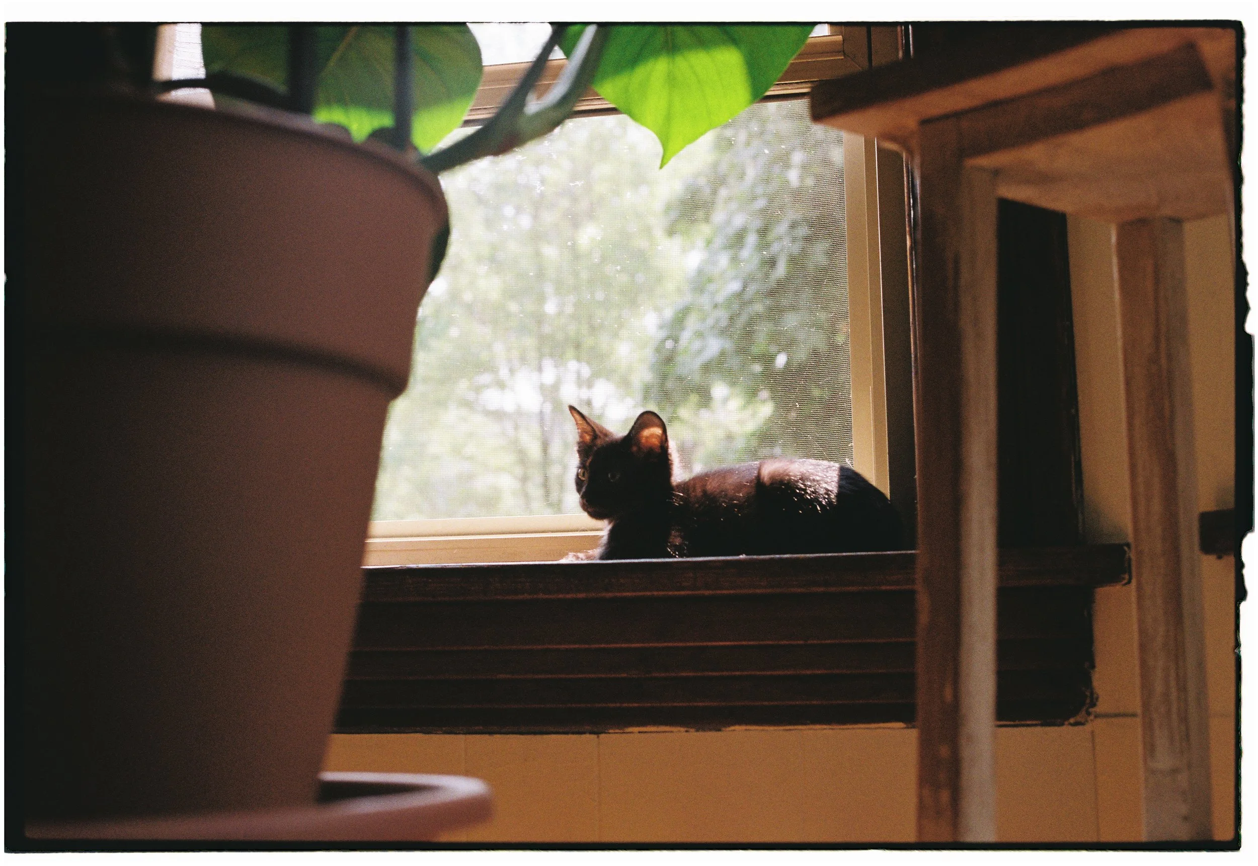 MB_1303_Fuji 200_115610-R1-013-5.JPG