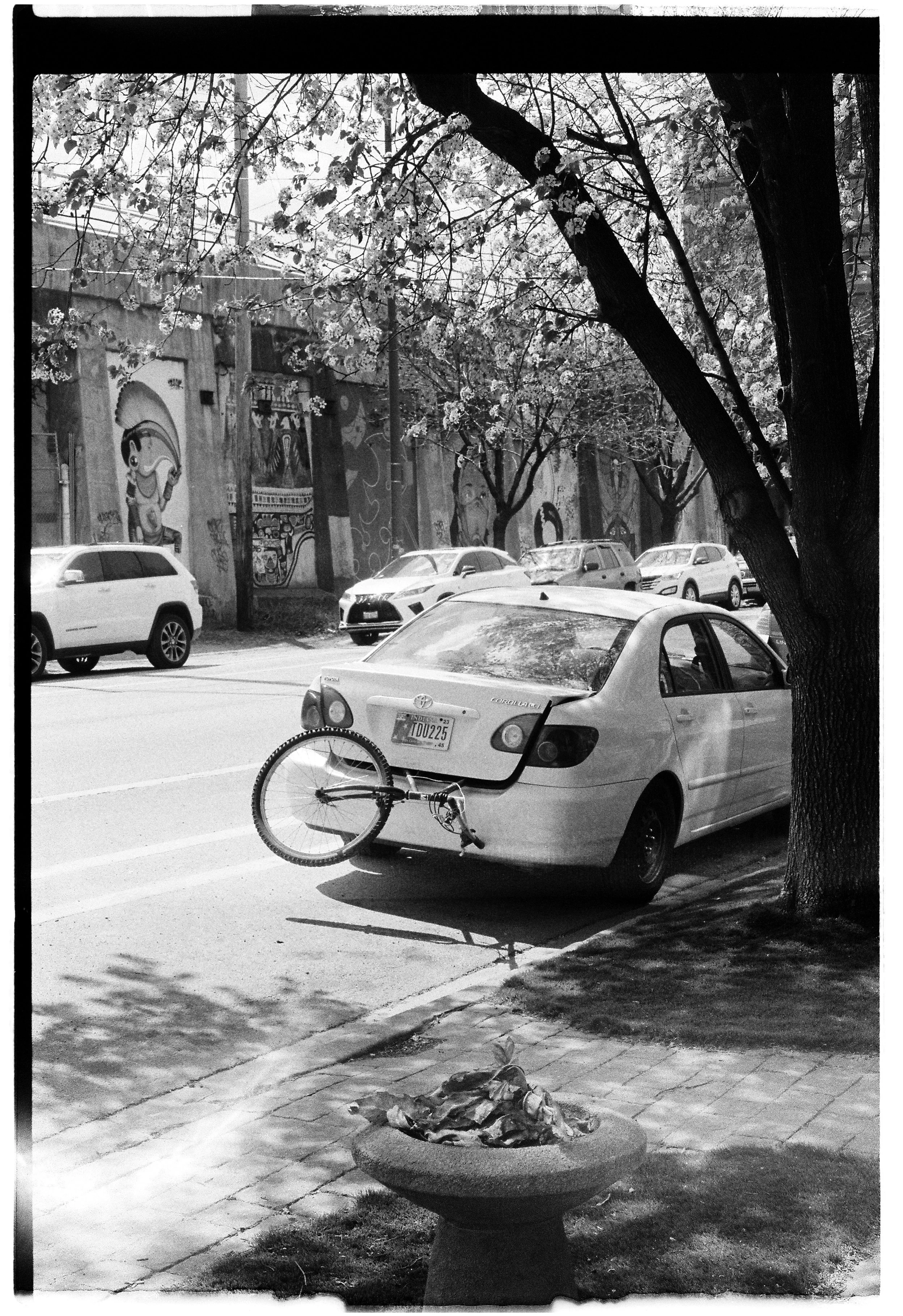 Photo Apr 27 2023, 4 15 04 PM.jpg