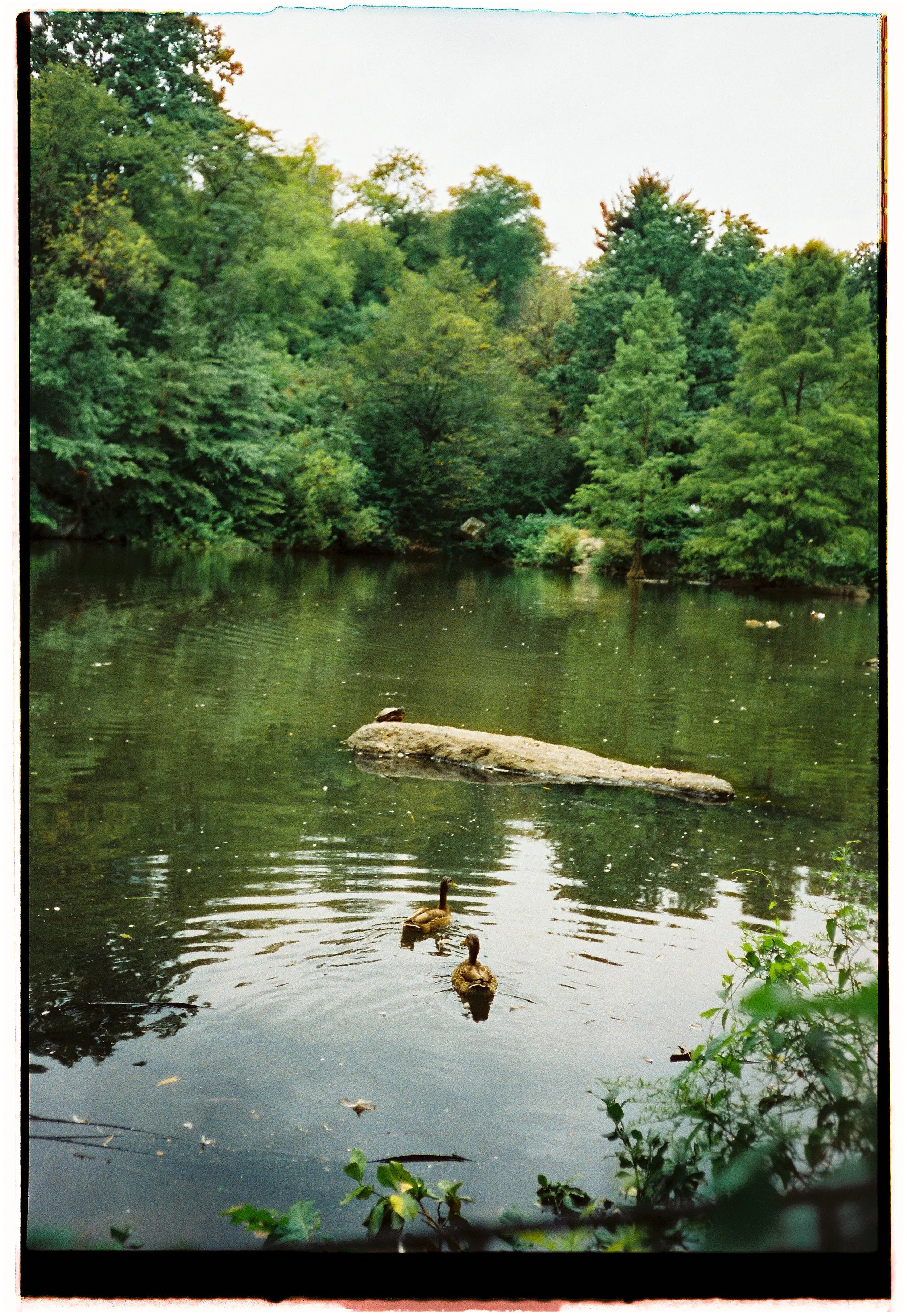 MB_4113_CineStill 400D_030315-R1-E037.JPG