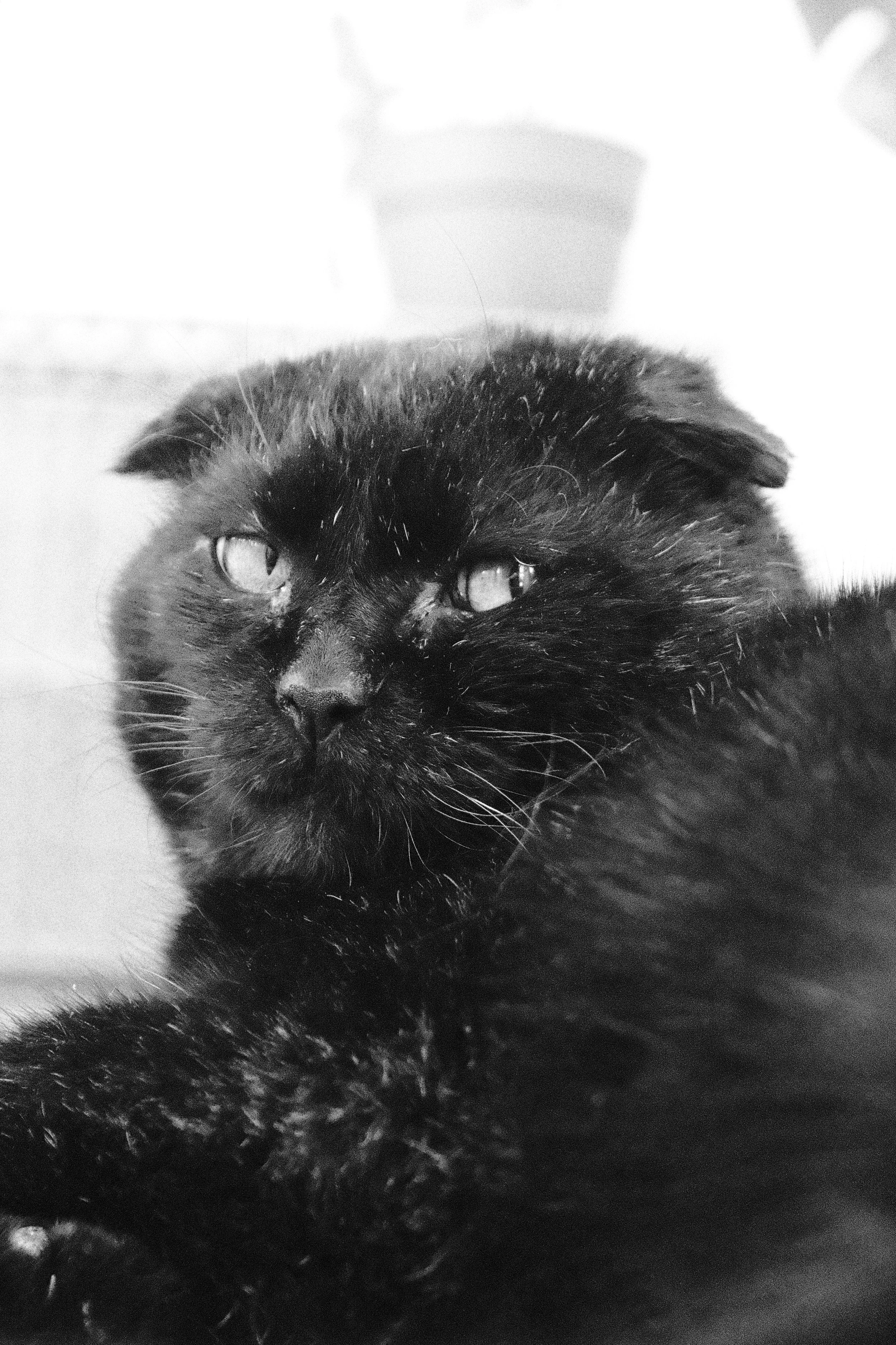 DSCF0628.JPG