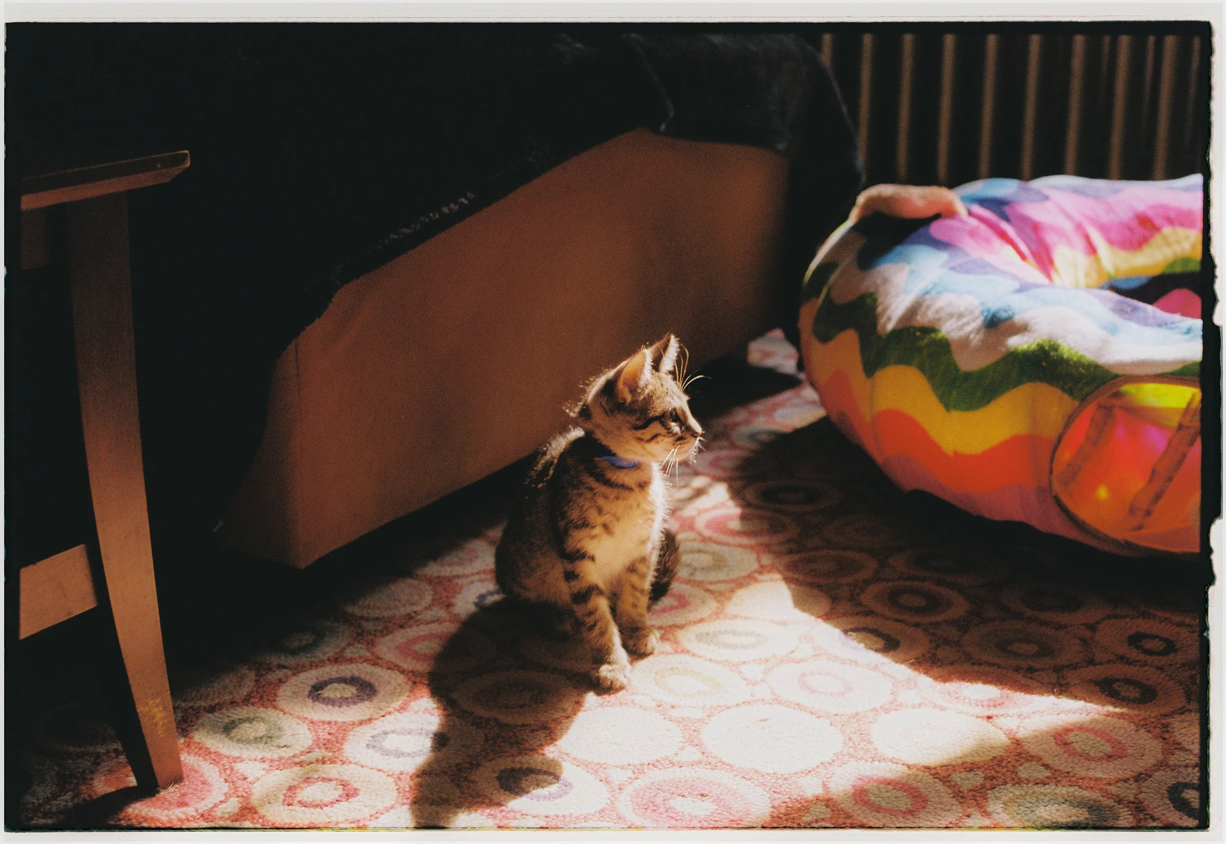 MB_1303_Fuji 200_115610-R1-035-16.JPG