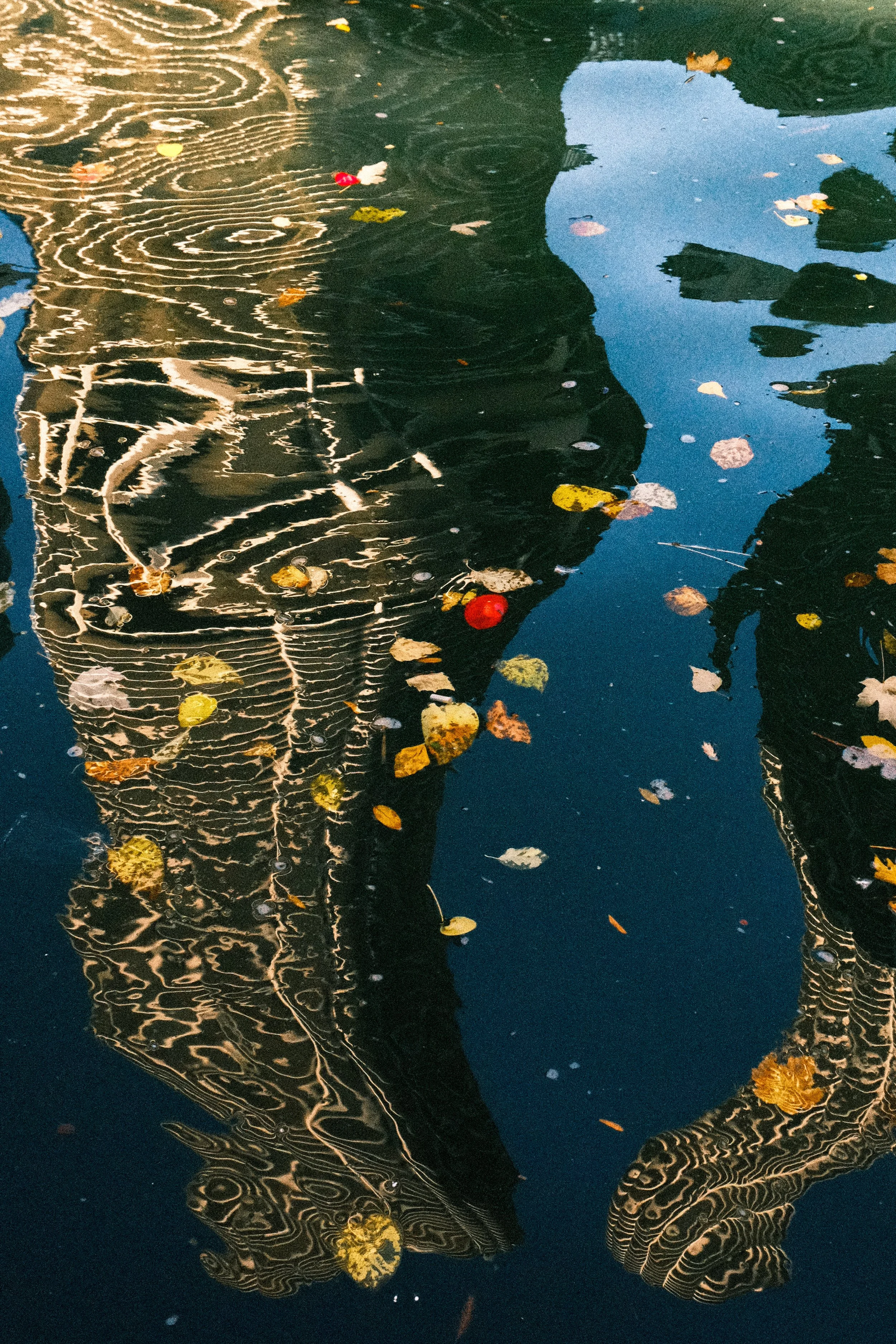 Photo Nov 13 2023, 12 28 16 PM.jpg