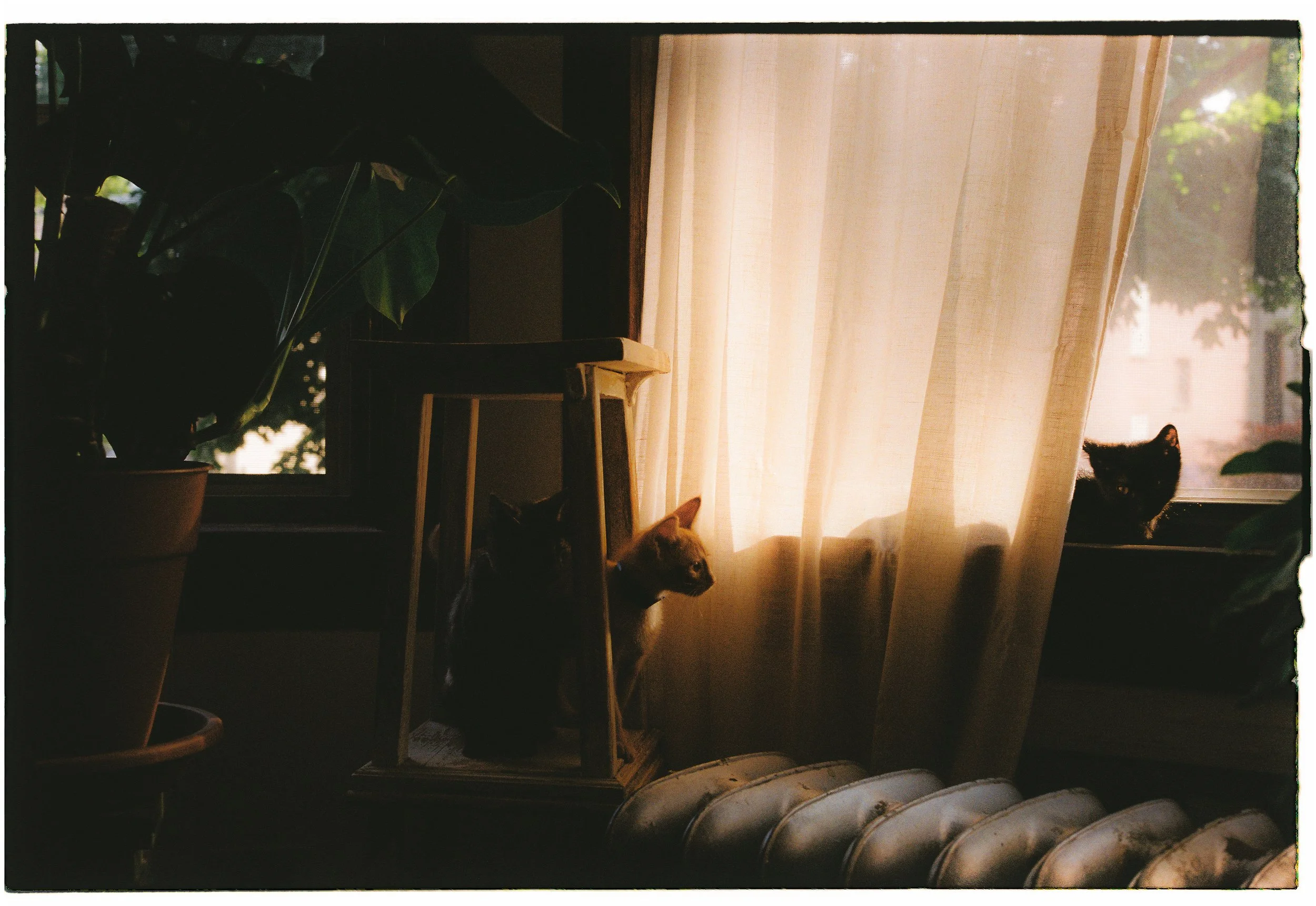 MB_1303_Fuji 200_115610-R1-041-19.JPG