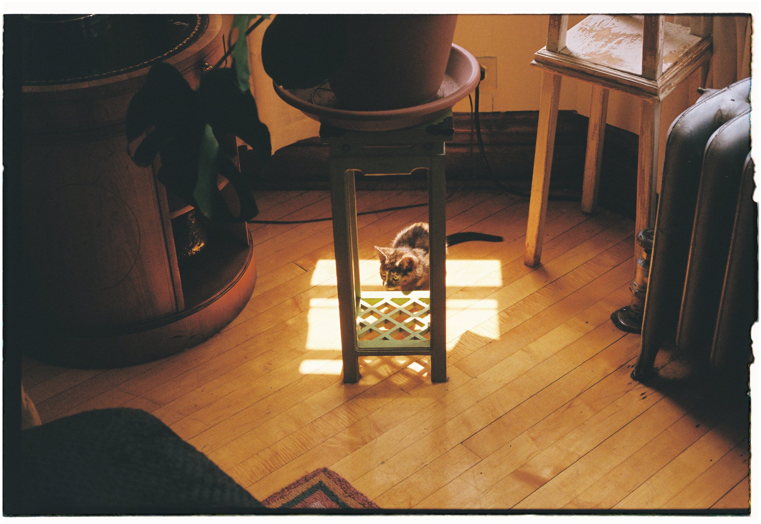 MB_1303_Fuji 200_115610-R1-007-2.JPG