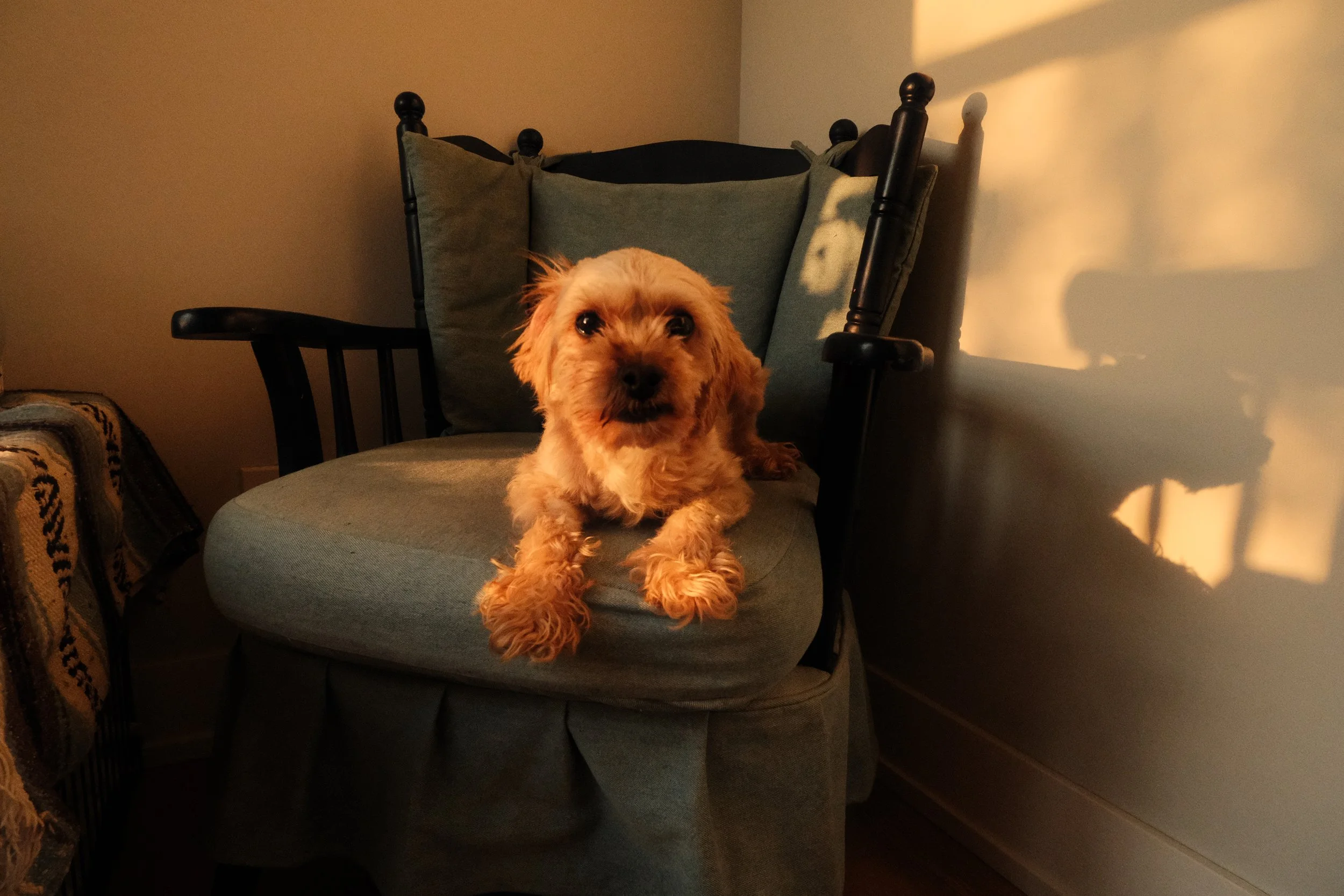DSCF9230.JPG