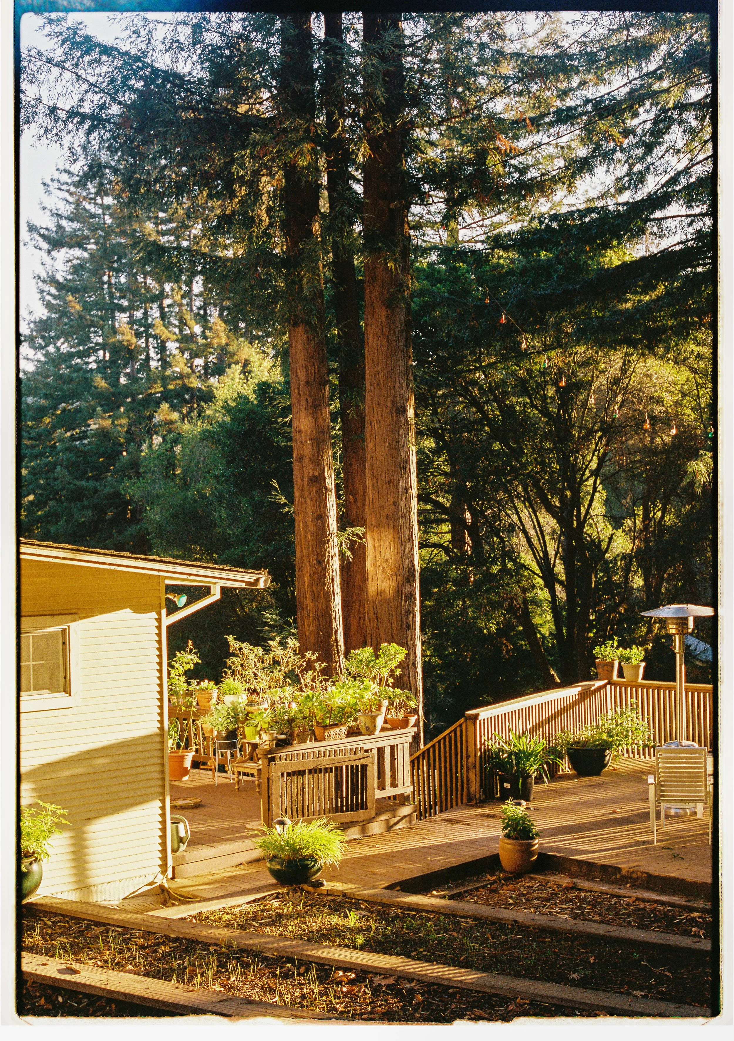 MB_6249_Portra%20400_023016-R1-028-12A.jpg