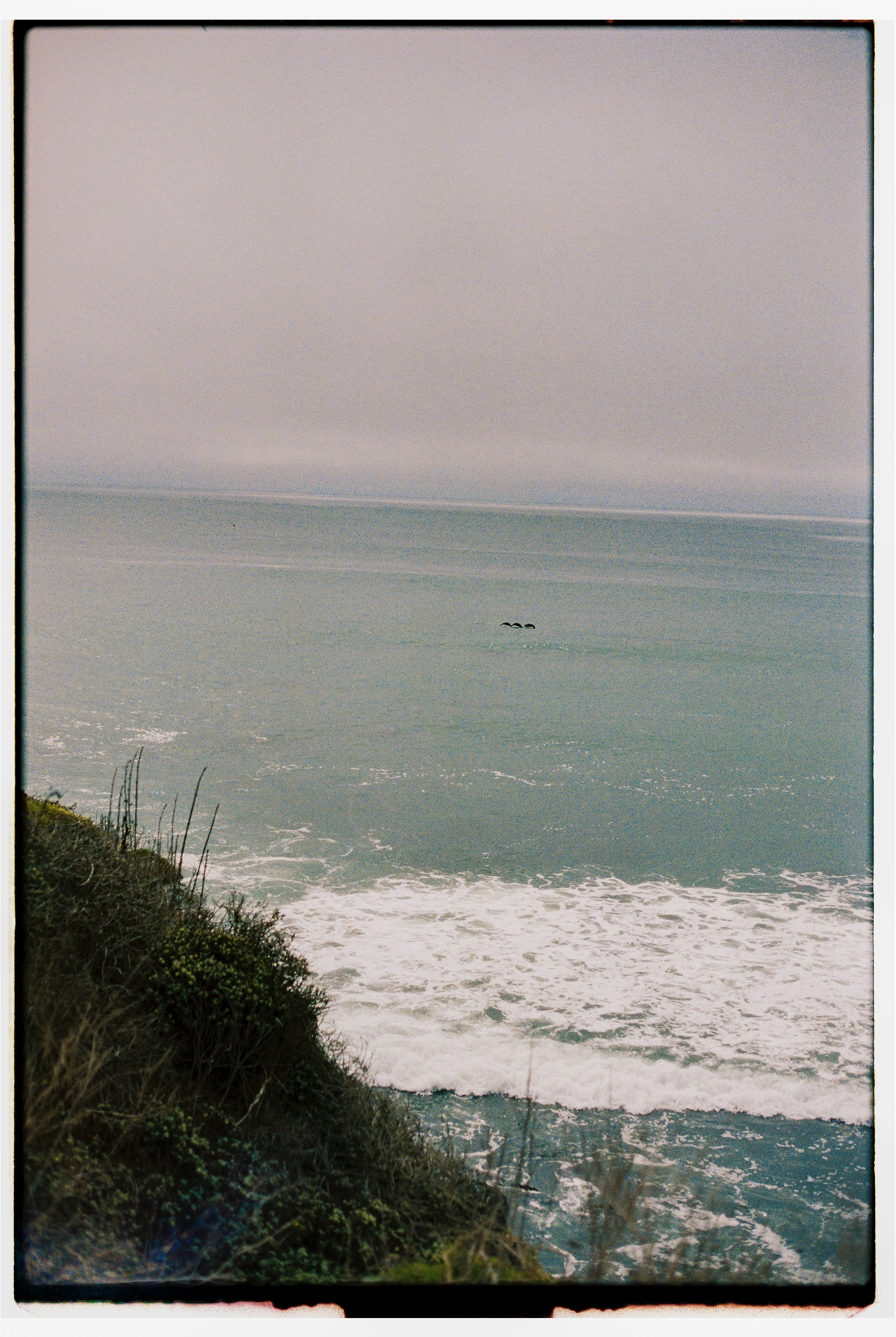 MB_6248_Portra%20800_113019-R1-049-23.jpg