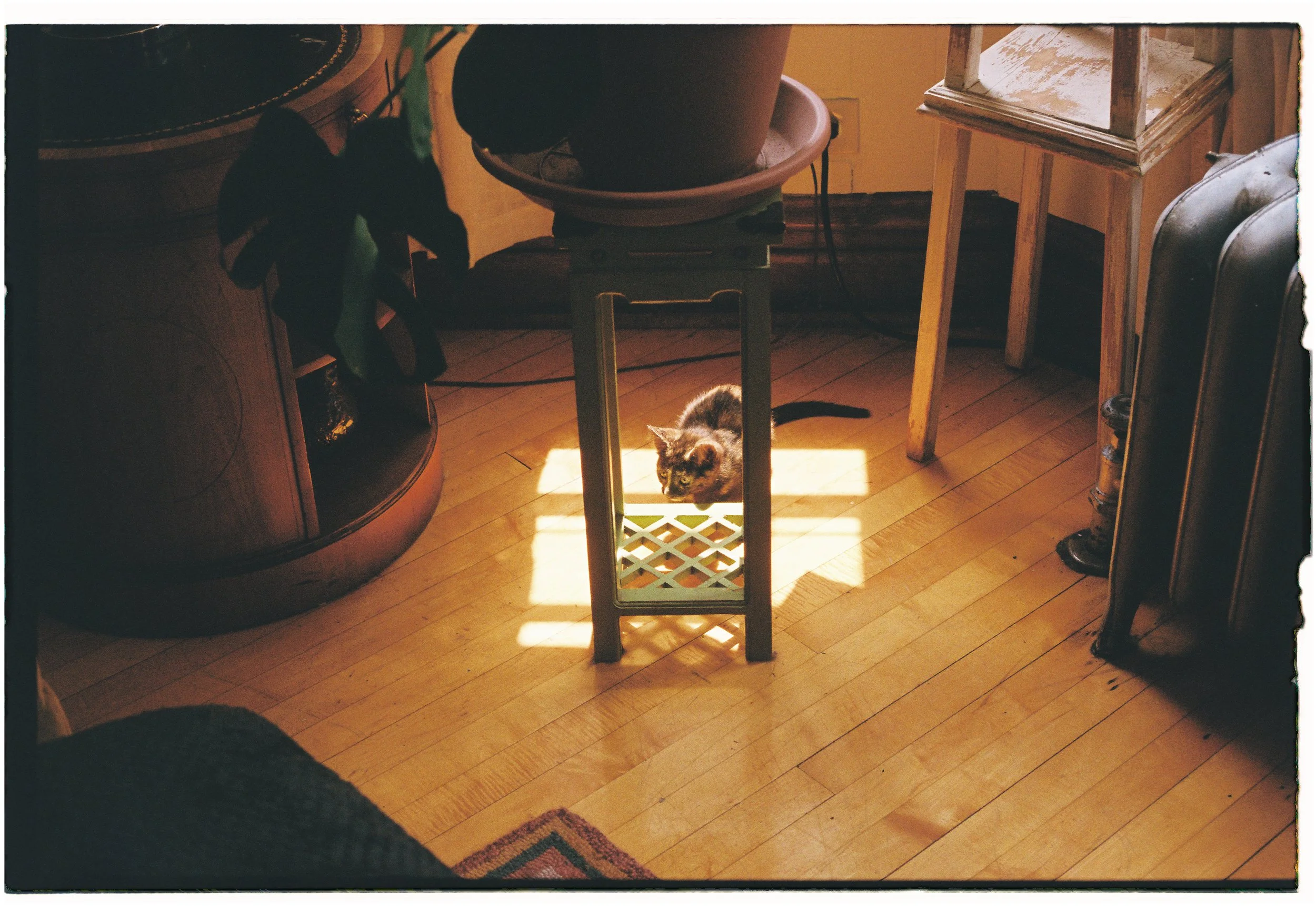 MB_1303_Fuji 200_115610-R1-007-2.JPG
