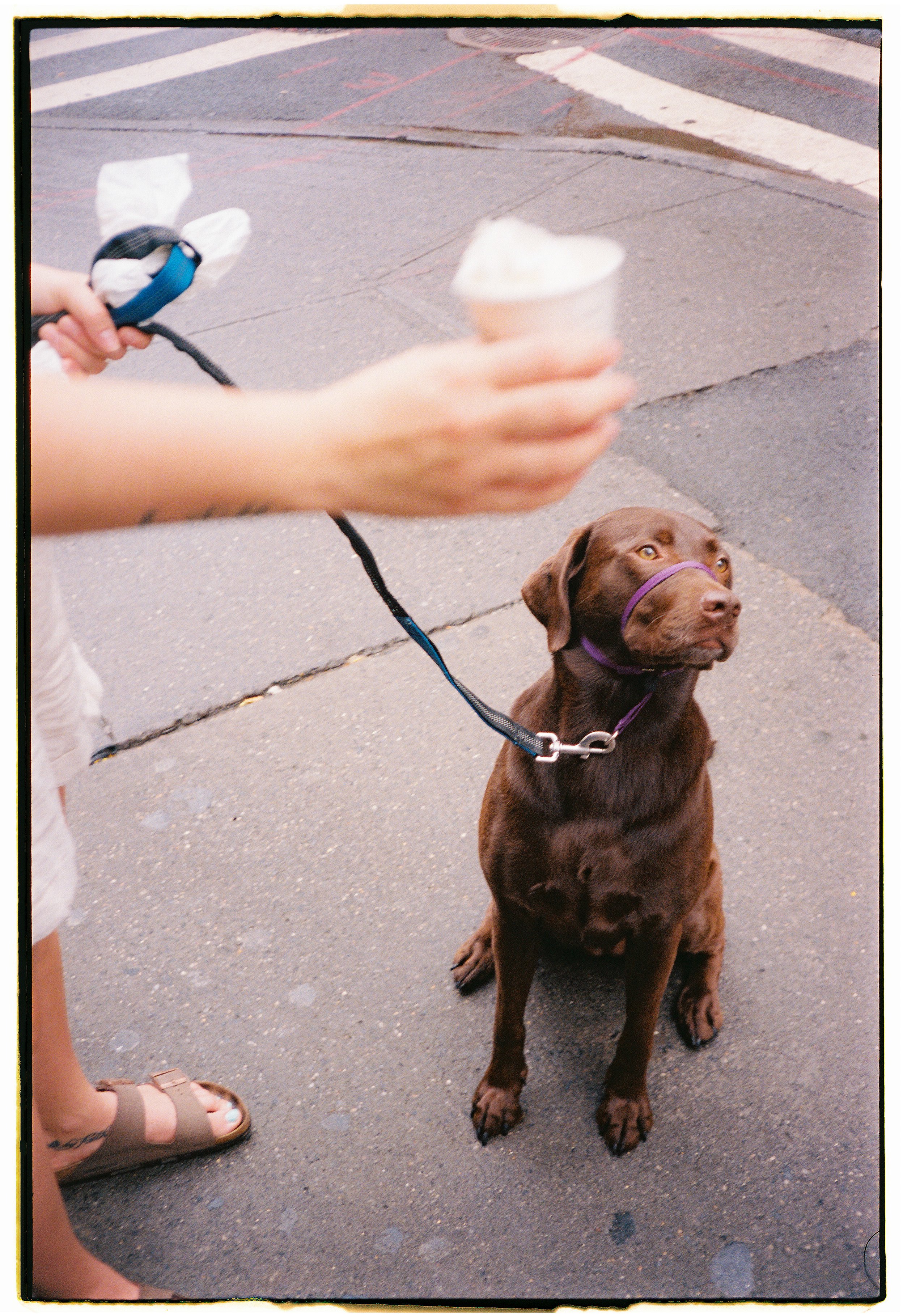 MB_4111_Portra 400_030311-R1-048-22A.JPG