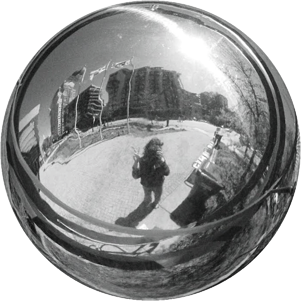 Reflection of a person taking a photo in a convex mirror, with buildings, trees, and flags in the background.