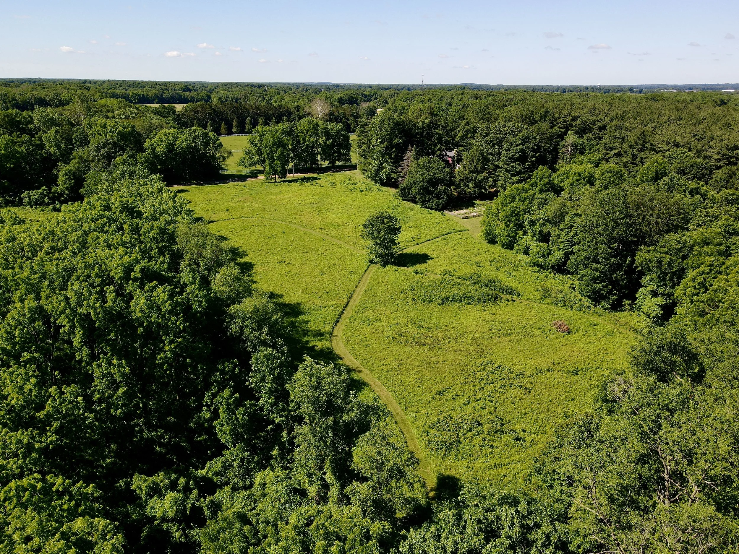 dji_fly_20260612_103806_75_1781275095222_photo.jpg