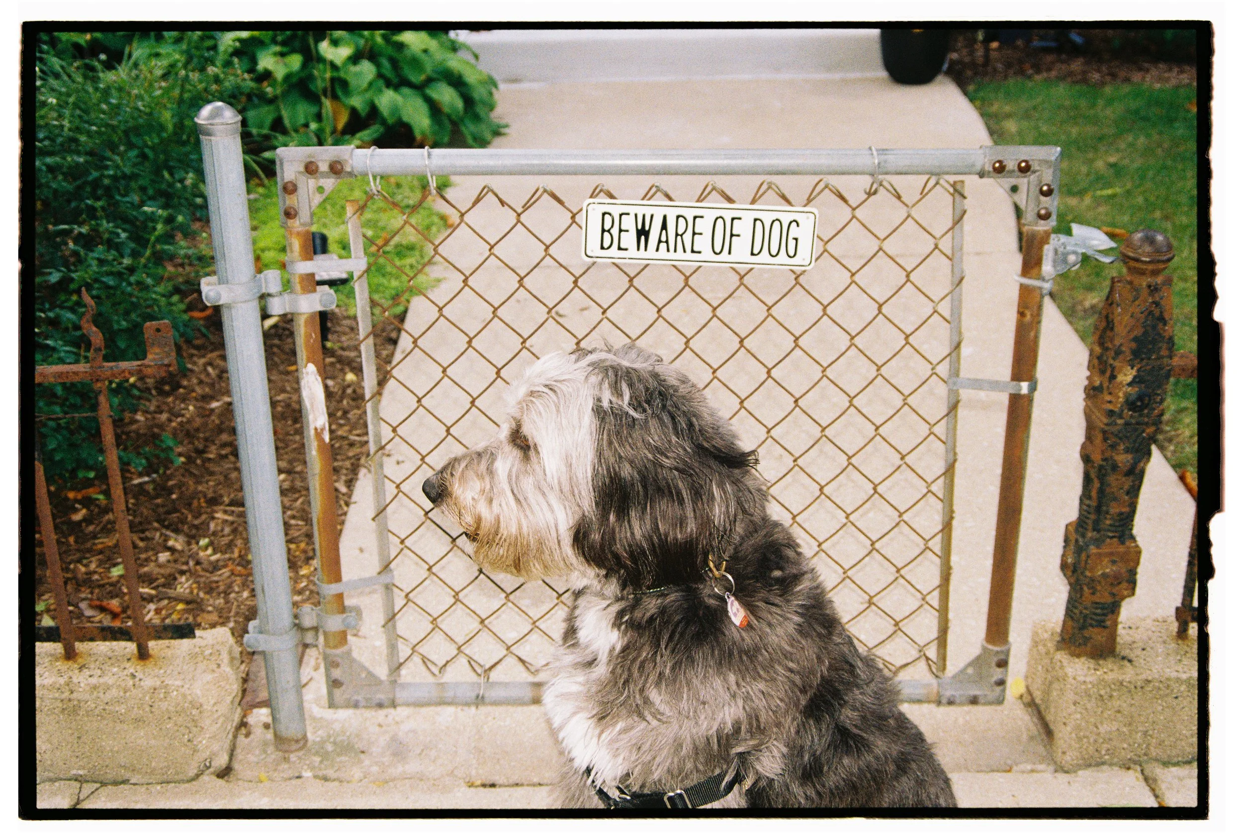 Photo Oct 04 2022, 2 27 00 PM.jpg