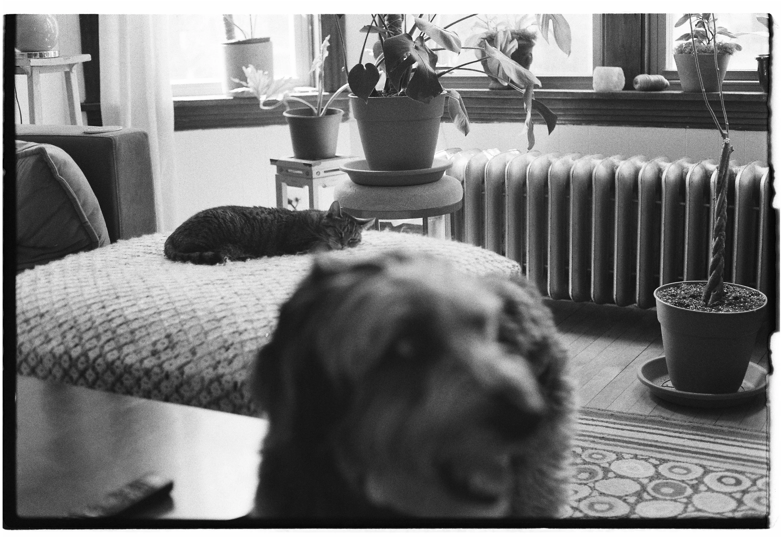MB_5736_HP5_027232-R1-E016.jpeg
