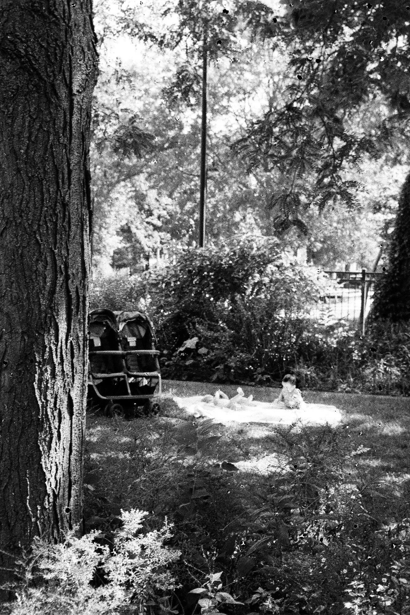 Photo Aug 20 2023, 11 50 39 AM.jpg