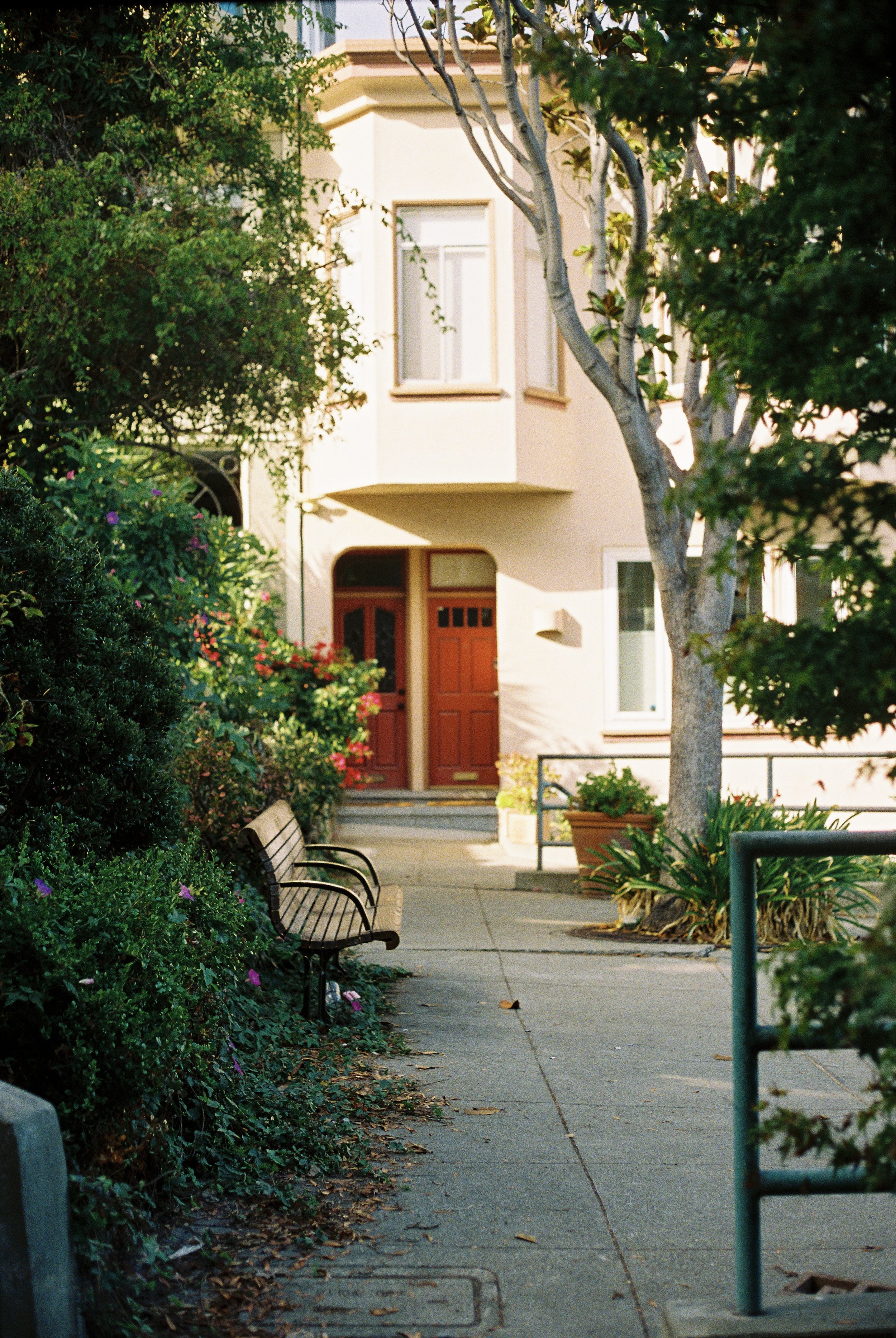 MB_6248_Portra%20800_113019-R1-067-32.jpg