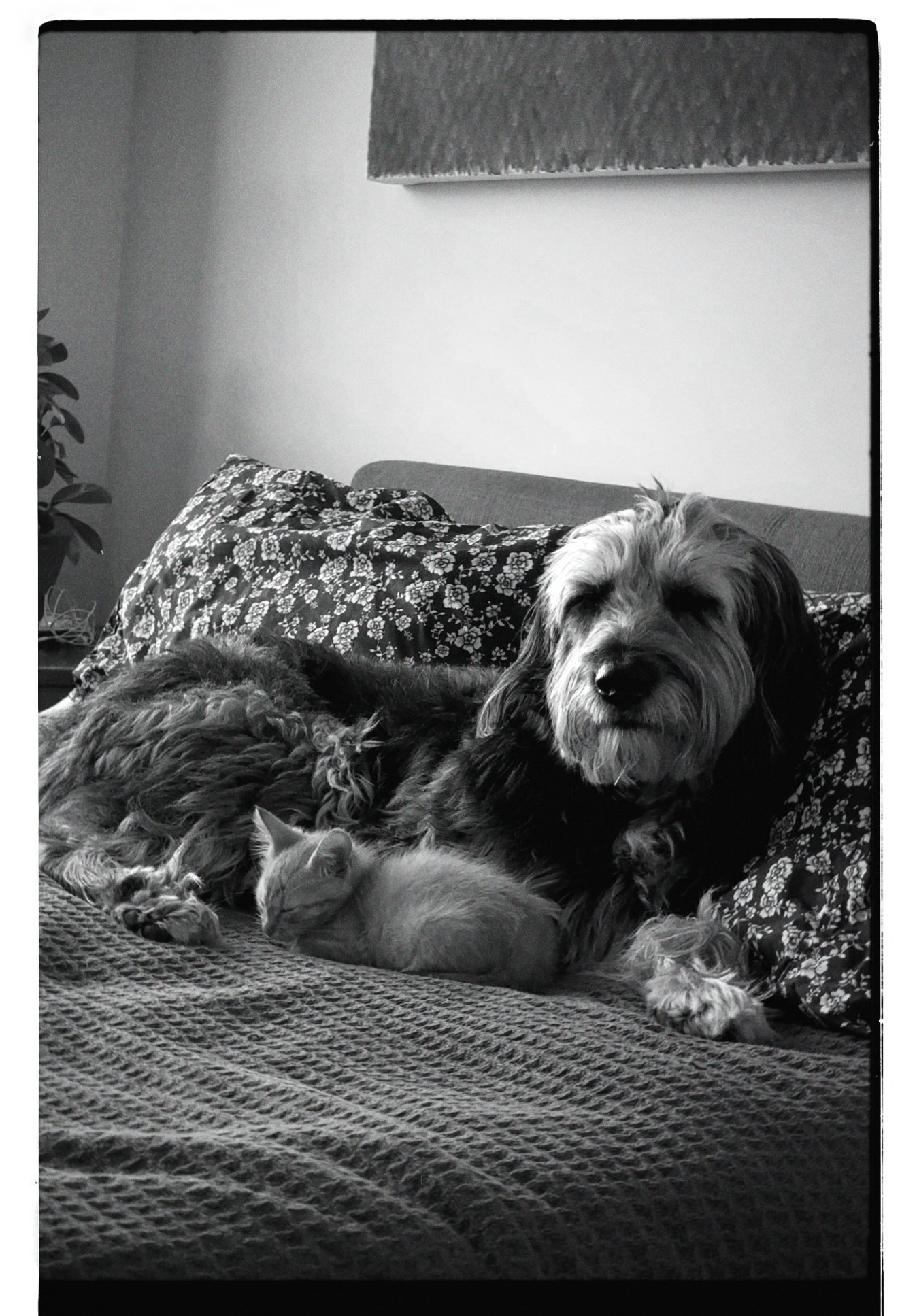 dblack 2024-11-28 092037.905.JPG